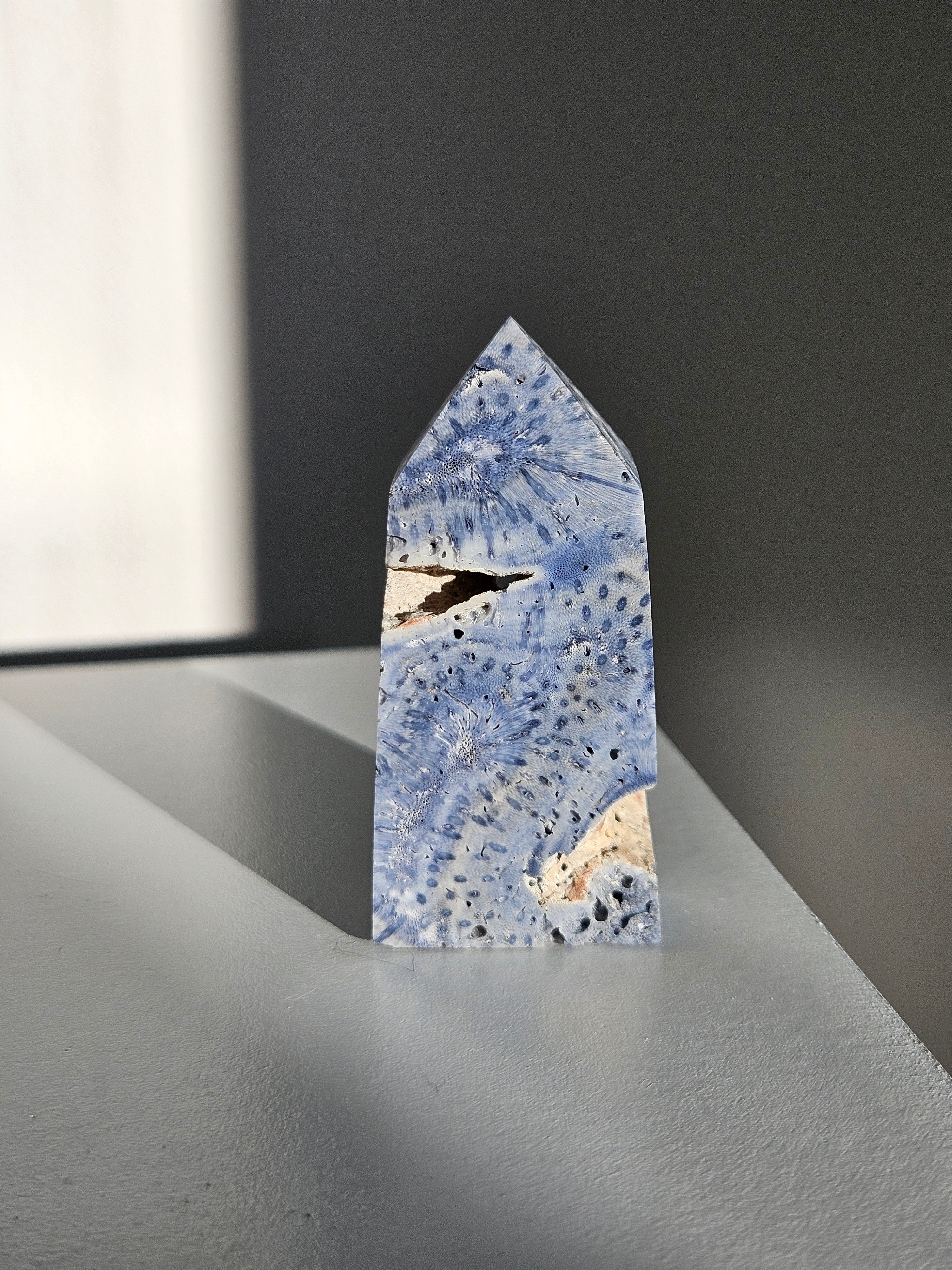 Blue Coral Tower 006