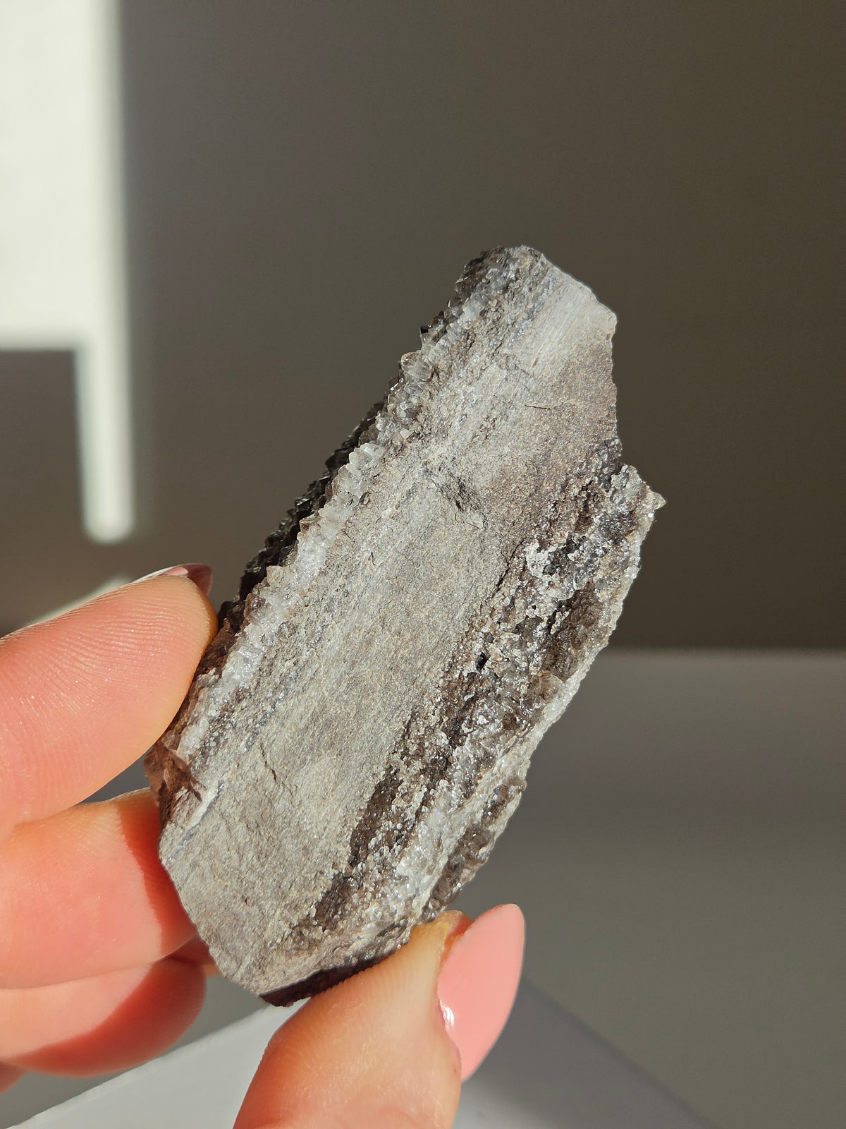 Smoky Quartz on Fossilized Wood 001