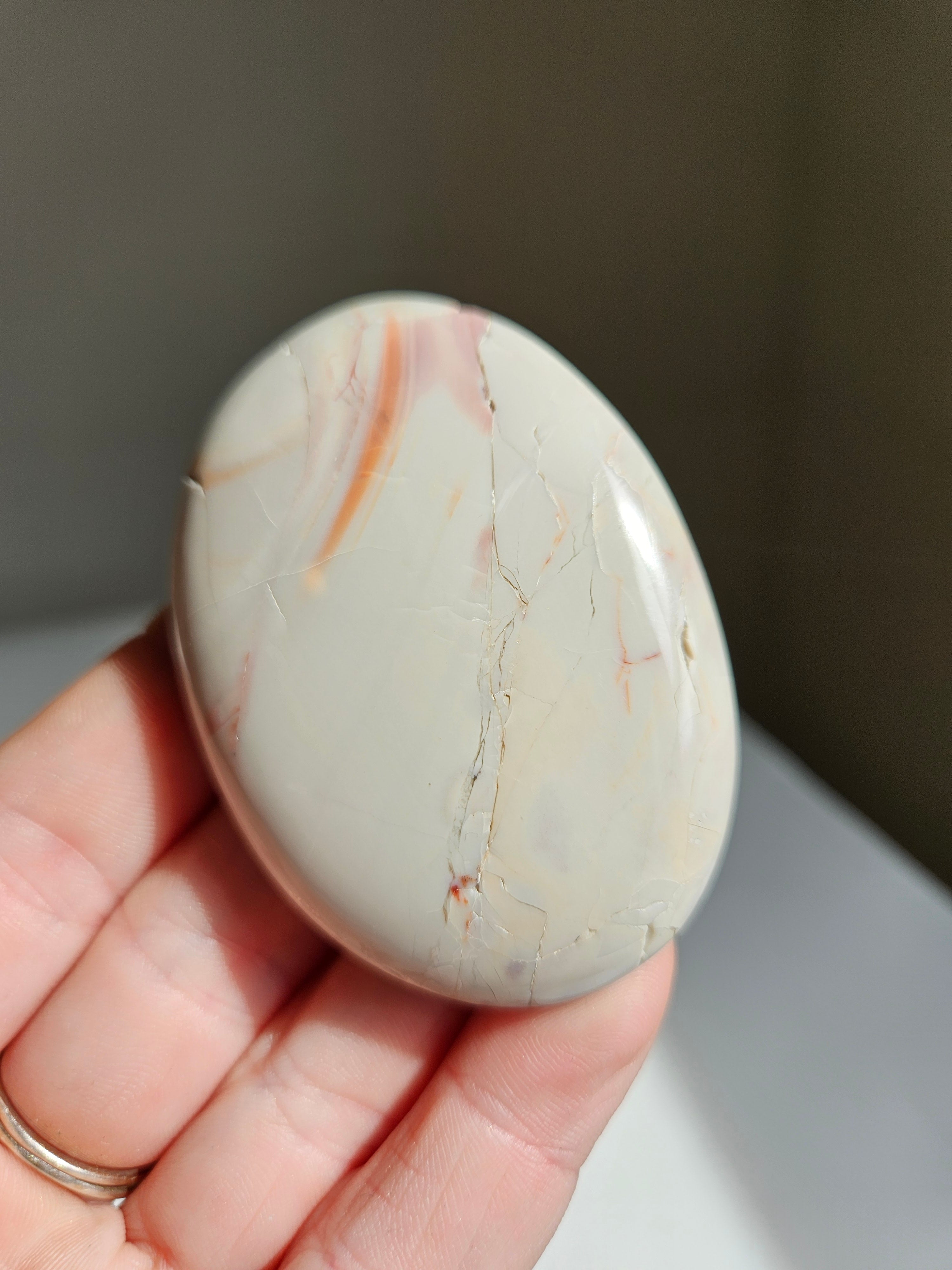 Hyacinth jasper palm 008