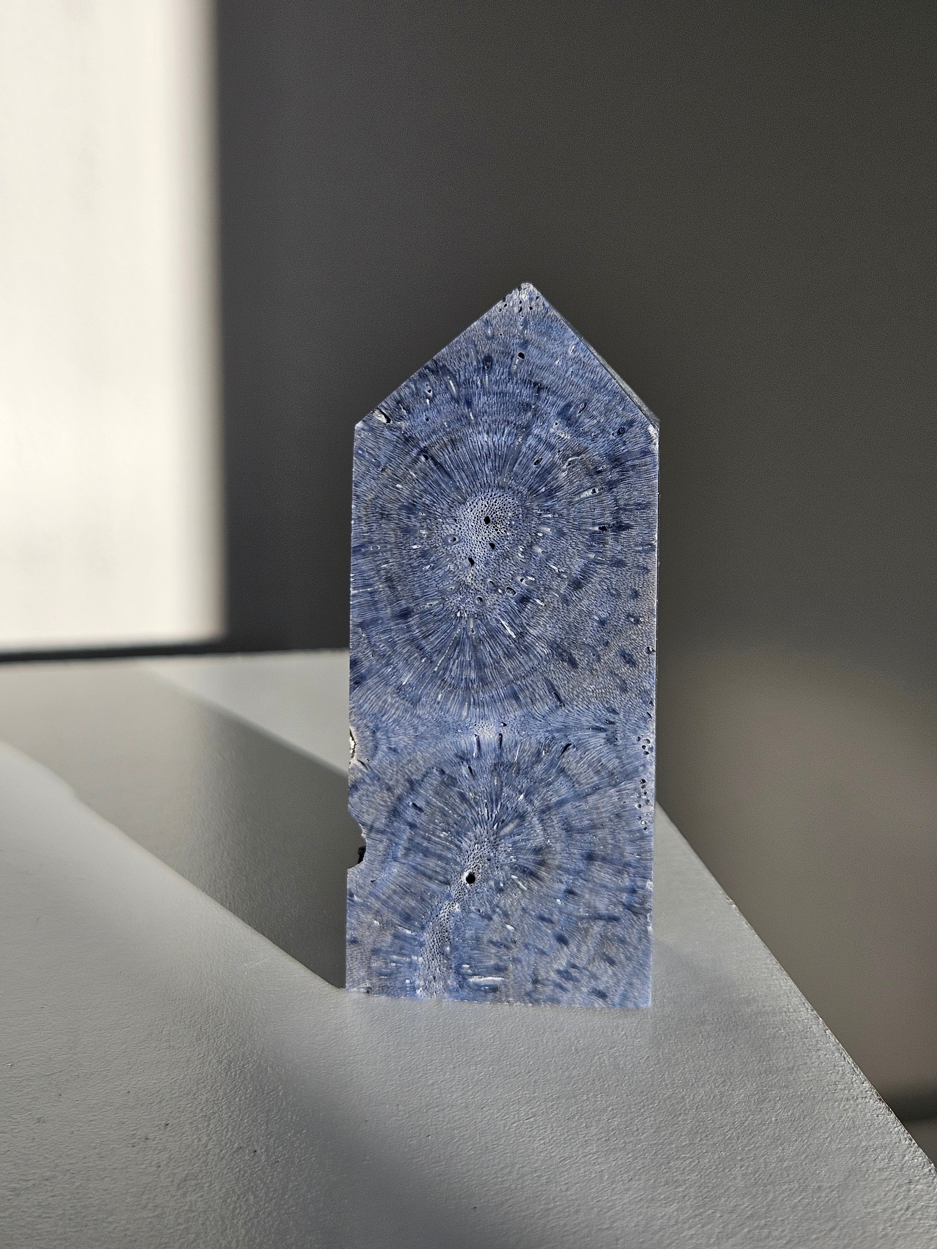 Blue Coral Tower 004