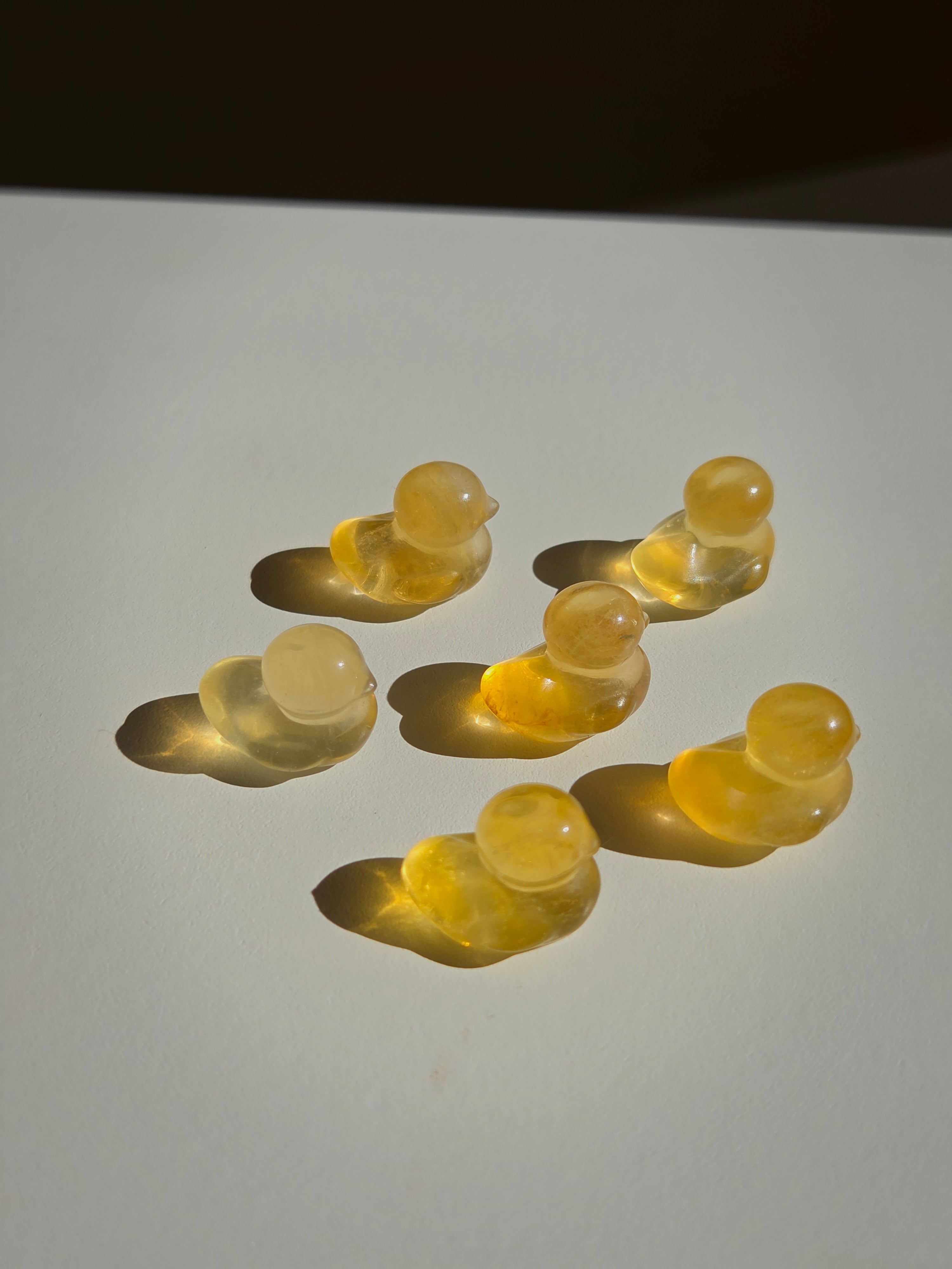 Fluorite Mini Duck
