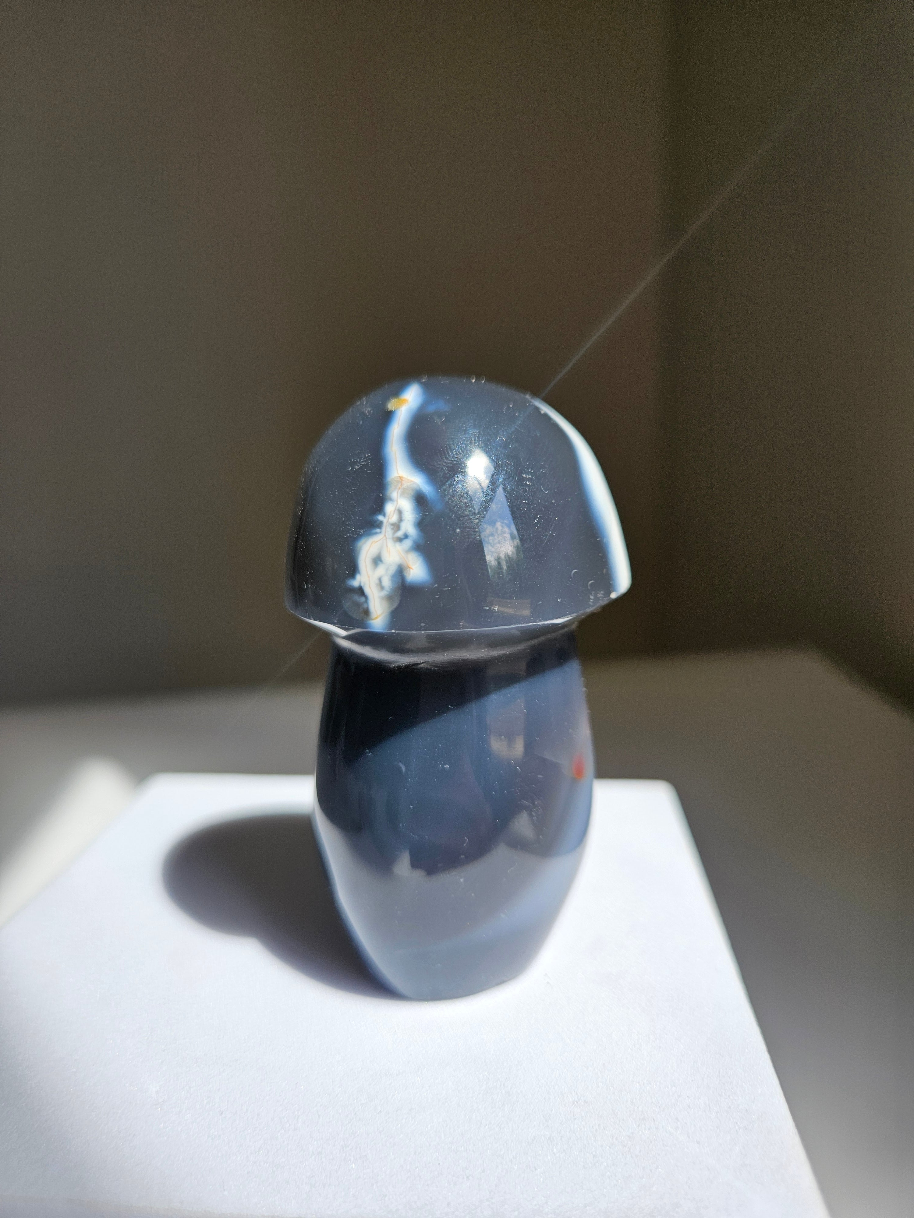 Orca Agate Mushroom 007