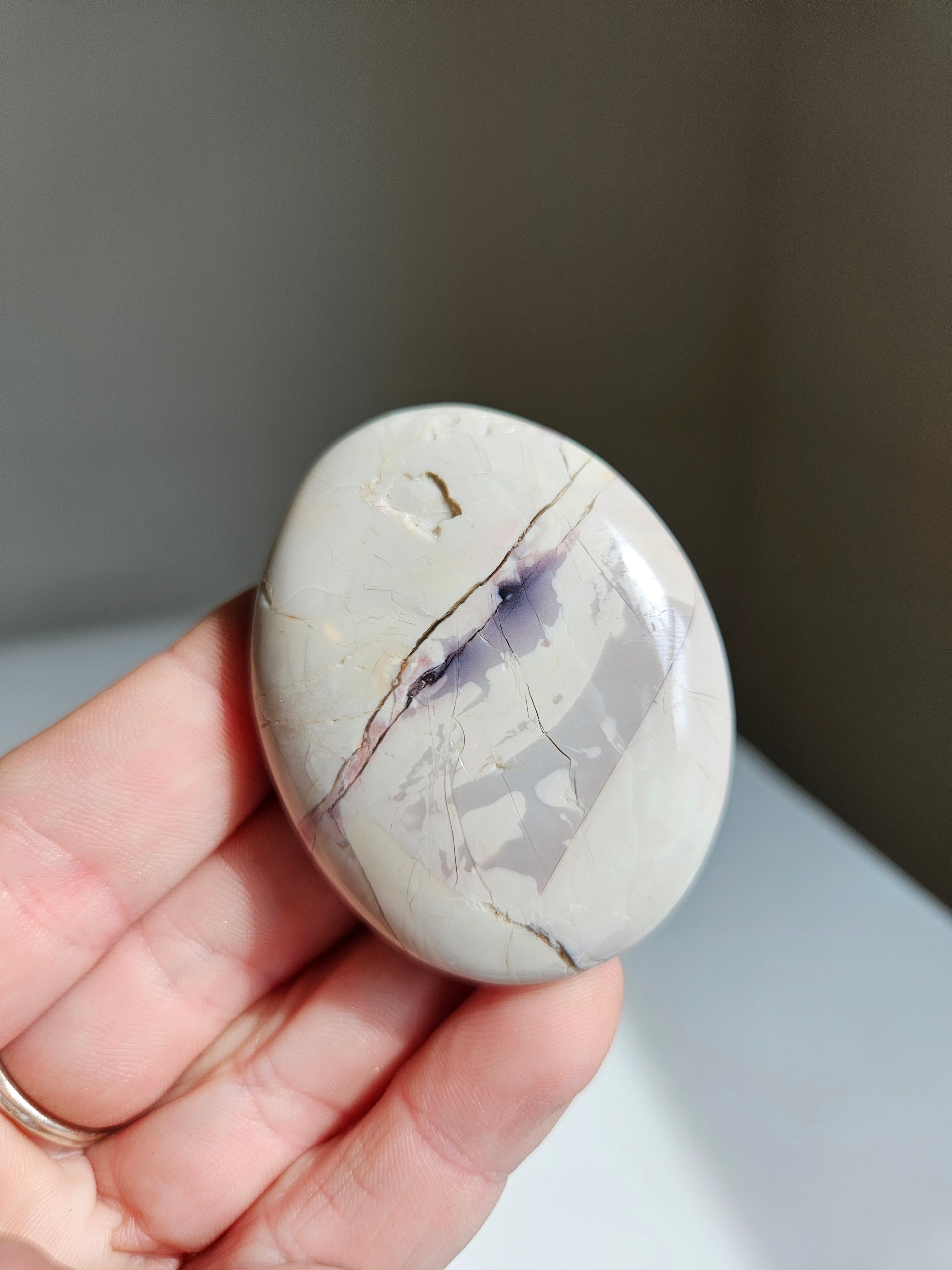 Hyacinth jasper palm 002