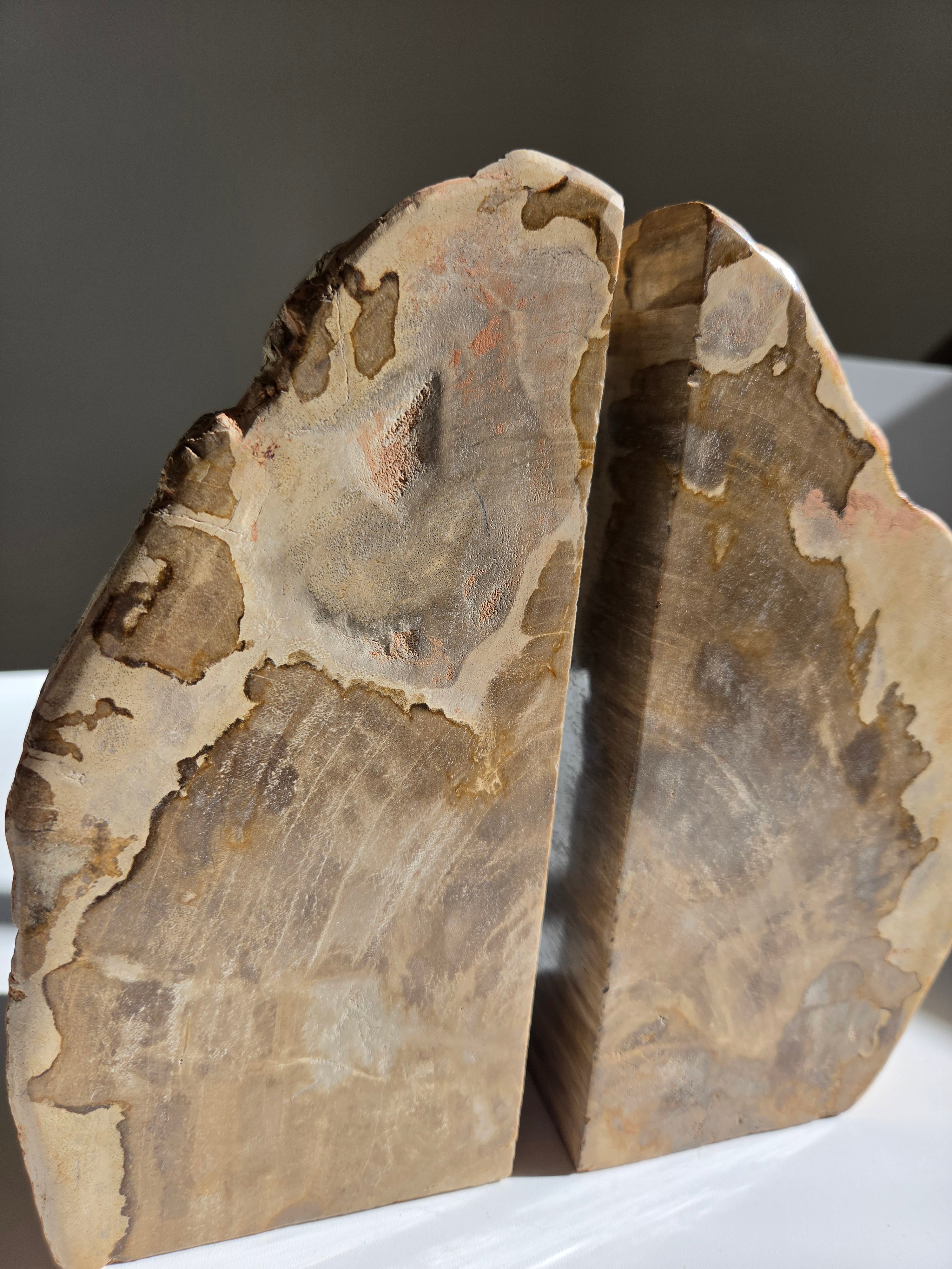 Petrified Wood Bookends 002