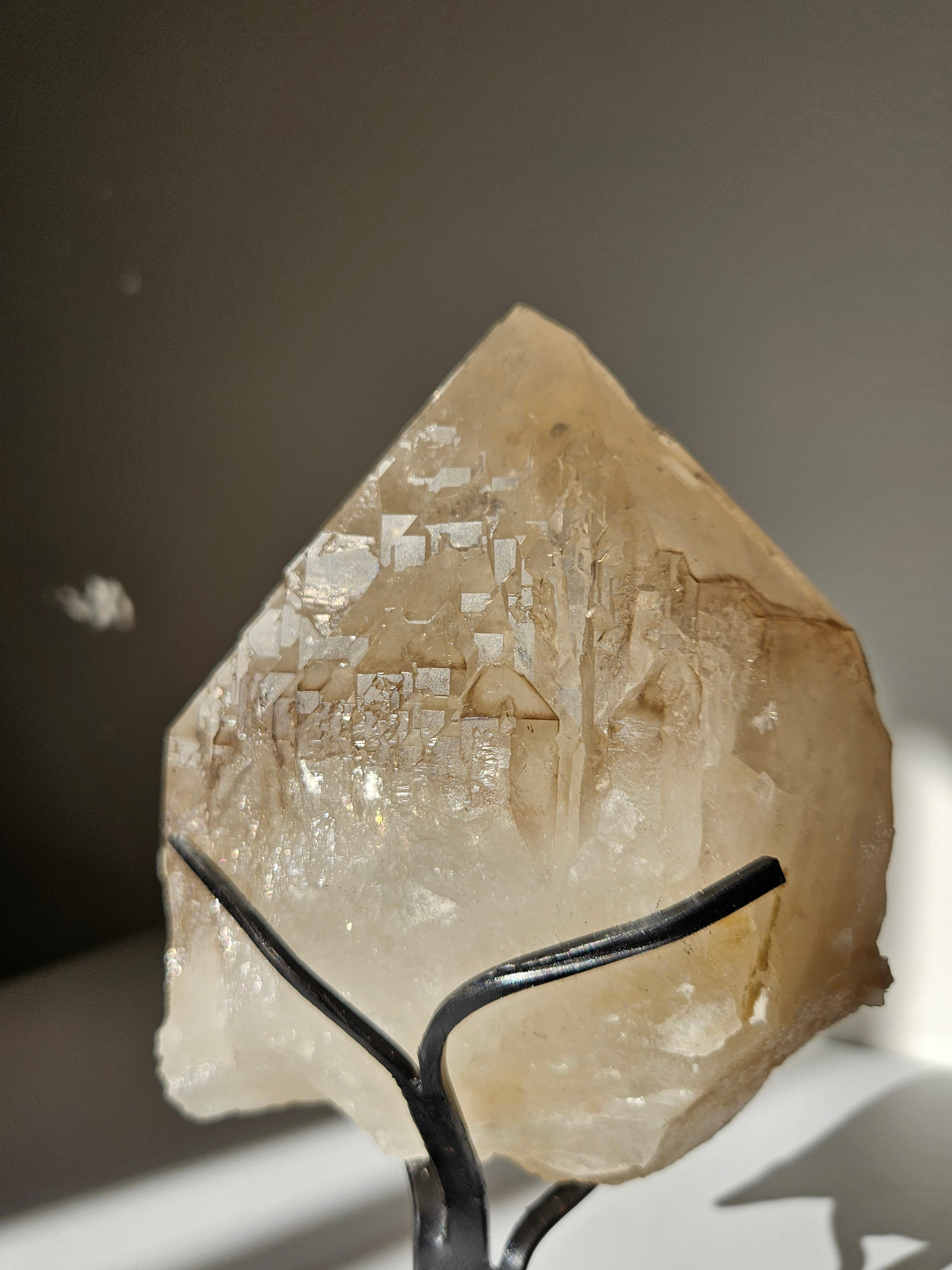 Elestial Smoky Quartz on Stand