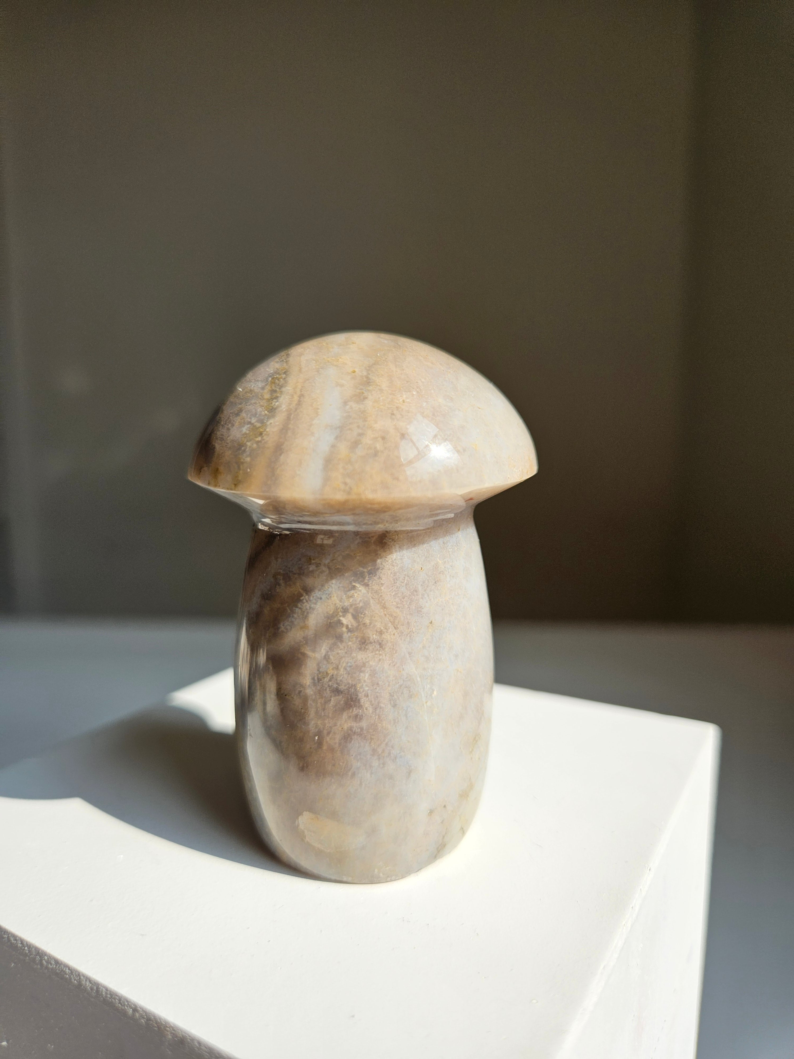 Sea jasper mushroom 002