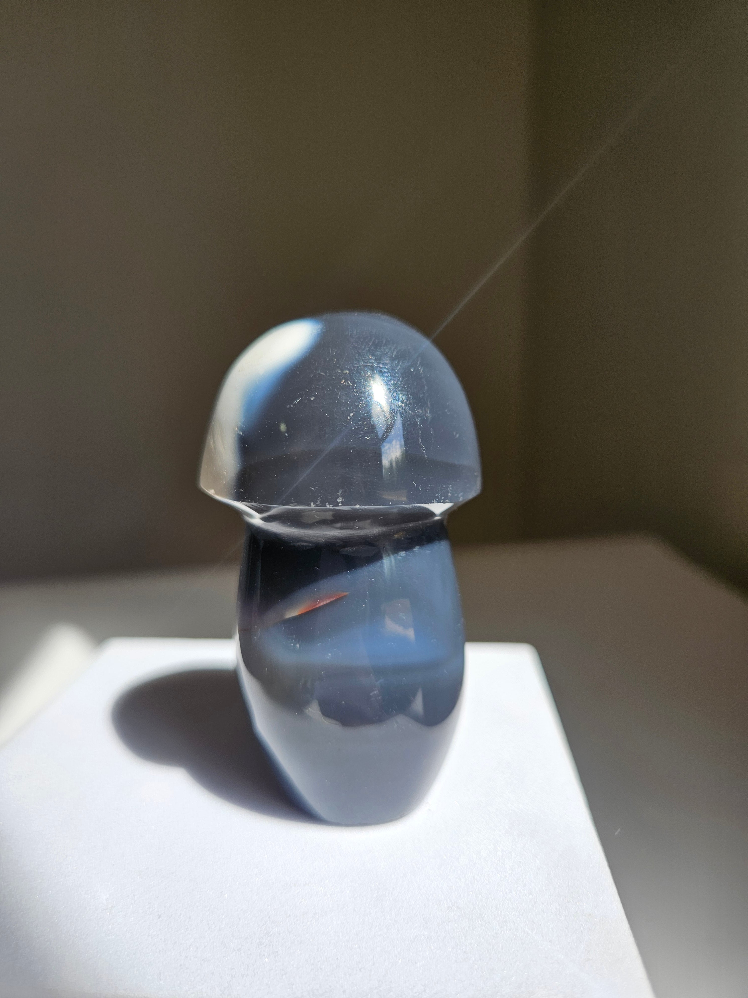 Orca Agate Mushroom 007