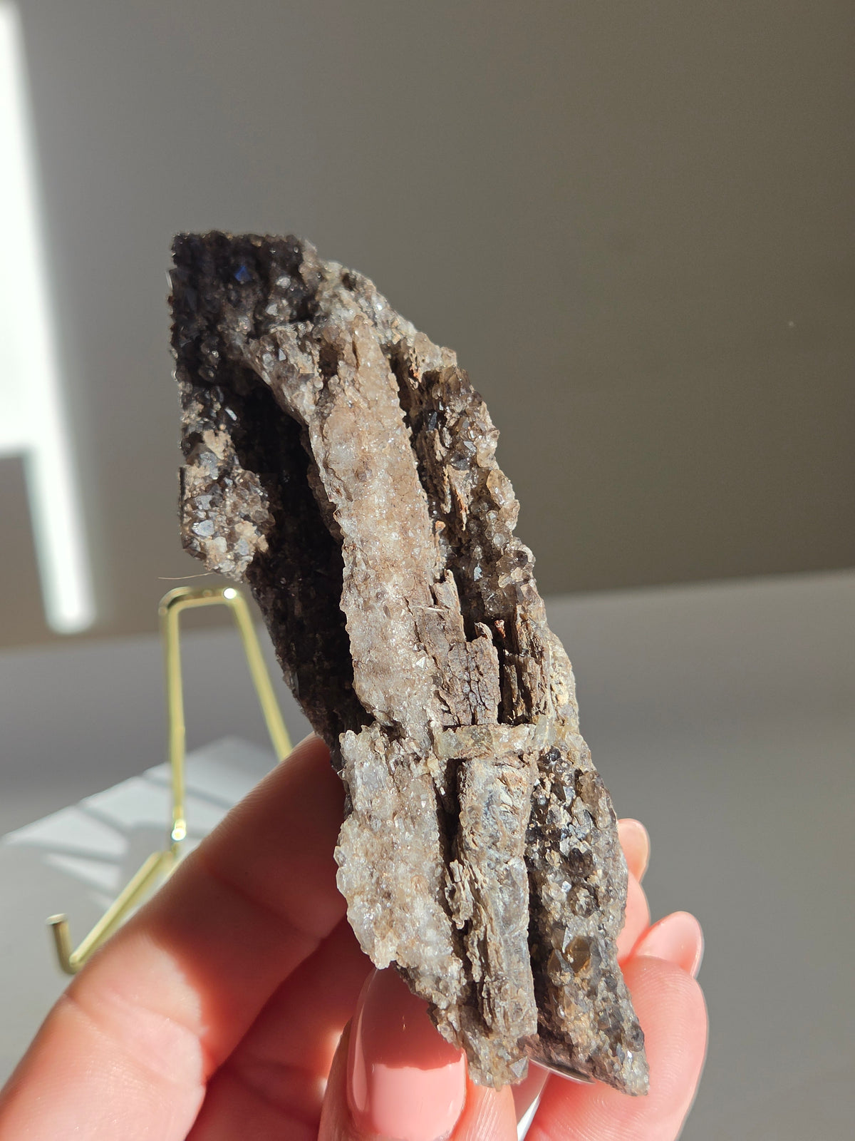 Smoky Quartz on Fossilized Wood 004