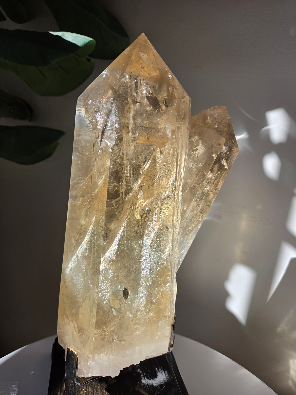 Semipolished Citrine Lemurian Twin Statement