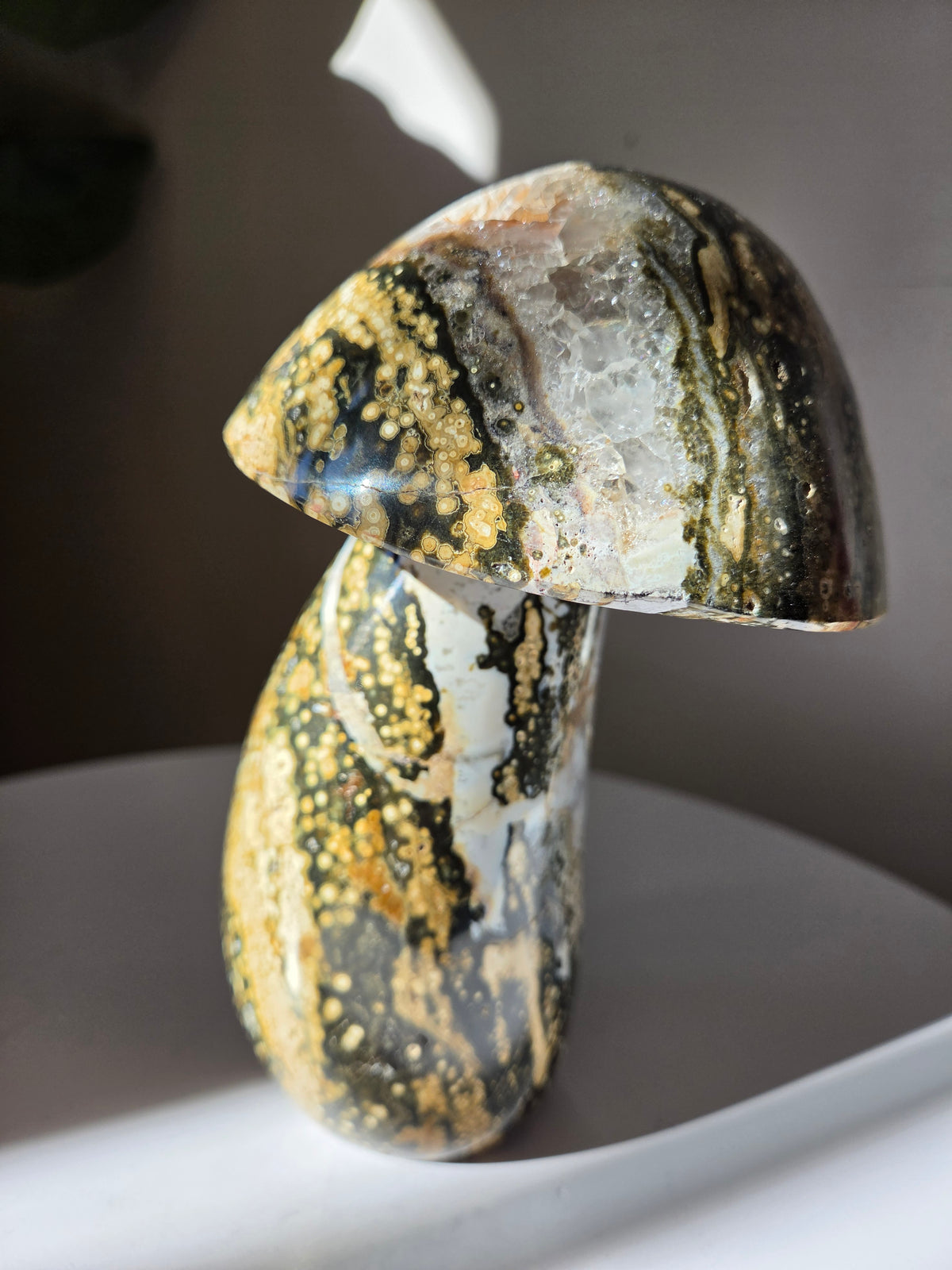 XL Sea Jasper Mushroom 002