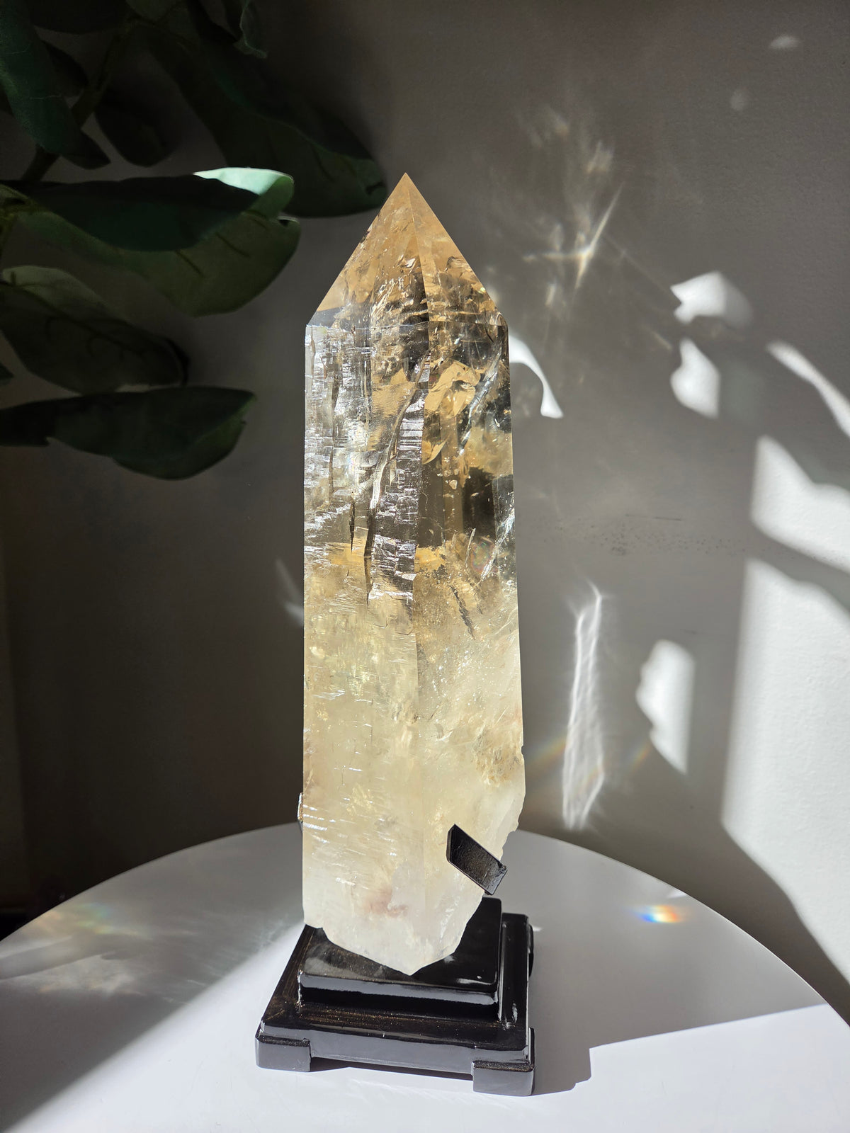 Semipolished Citrine Lemurian Statement