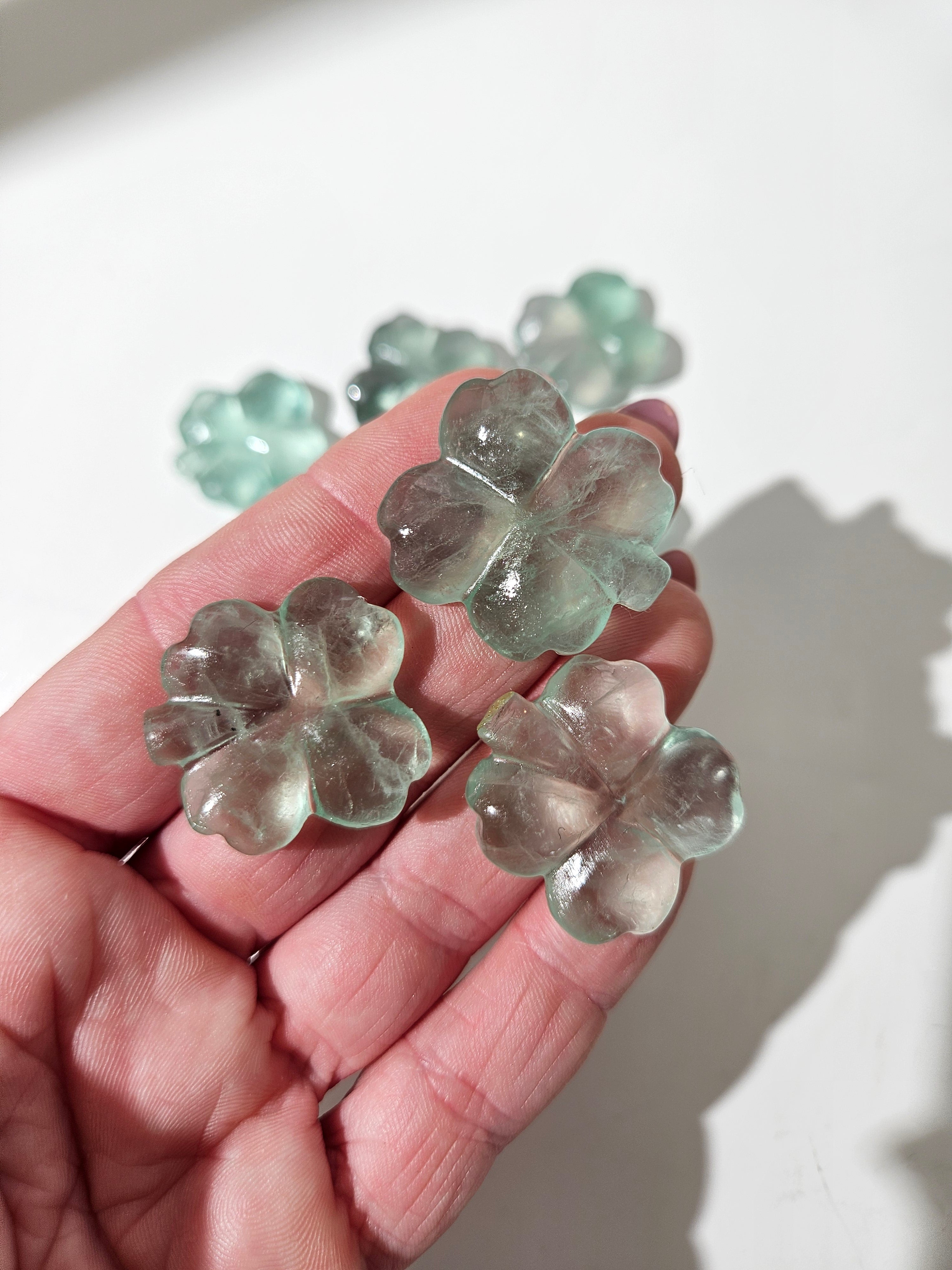 Fluorite Mini Clover