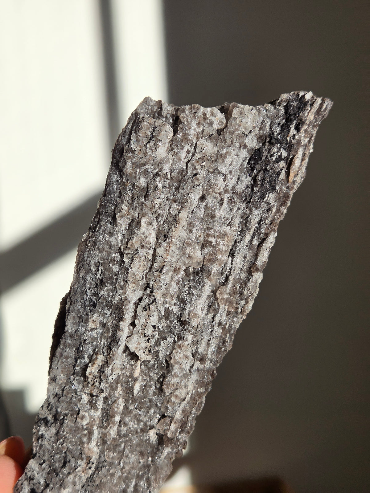 Smoky Quartz on Fossilized Wood 007