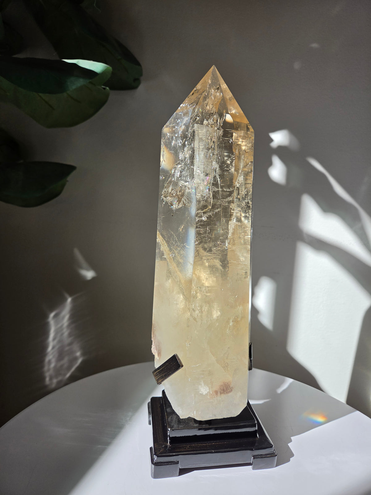 Semipolished Citrine Lemurian Statement