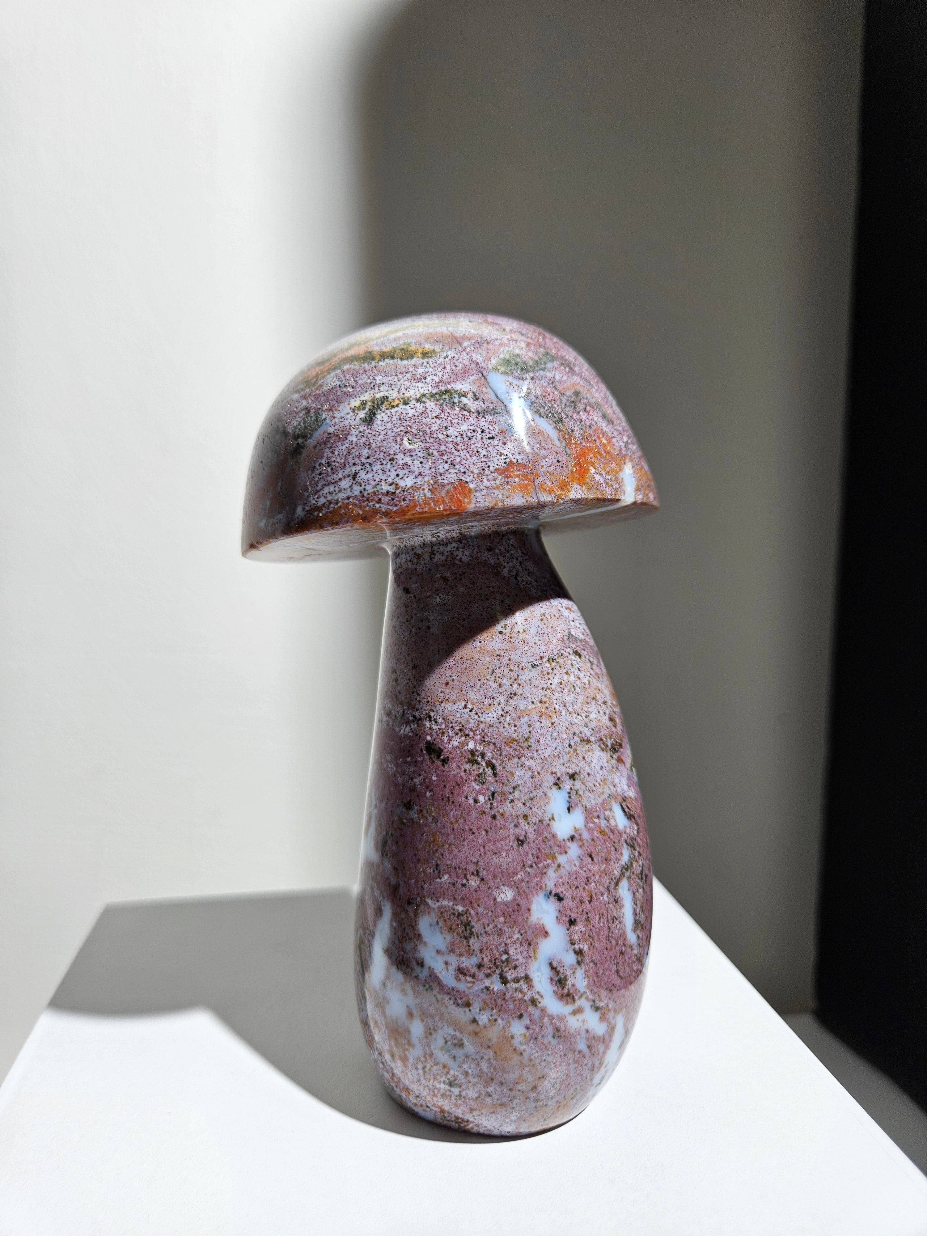 Sea Jasper Mushroom 011