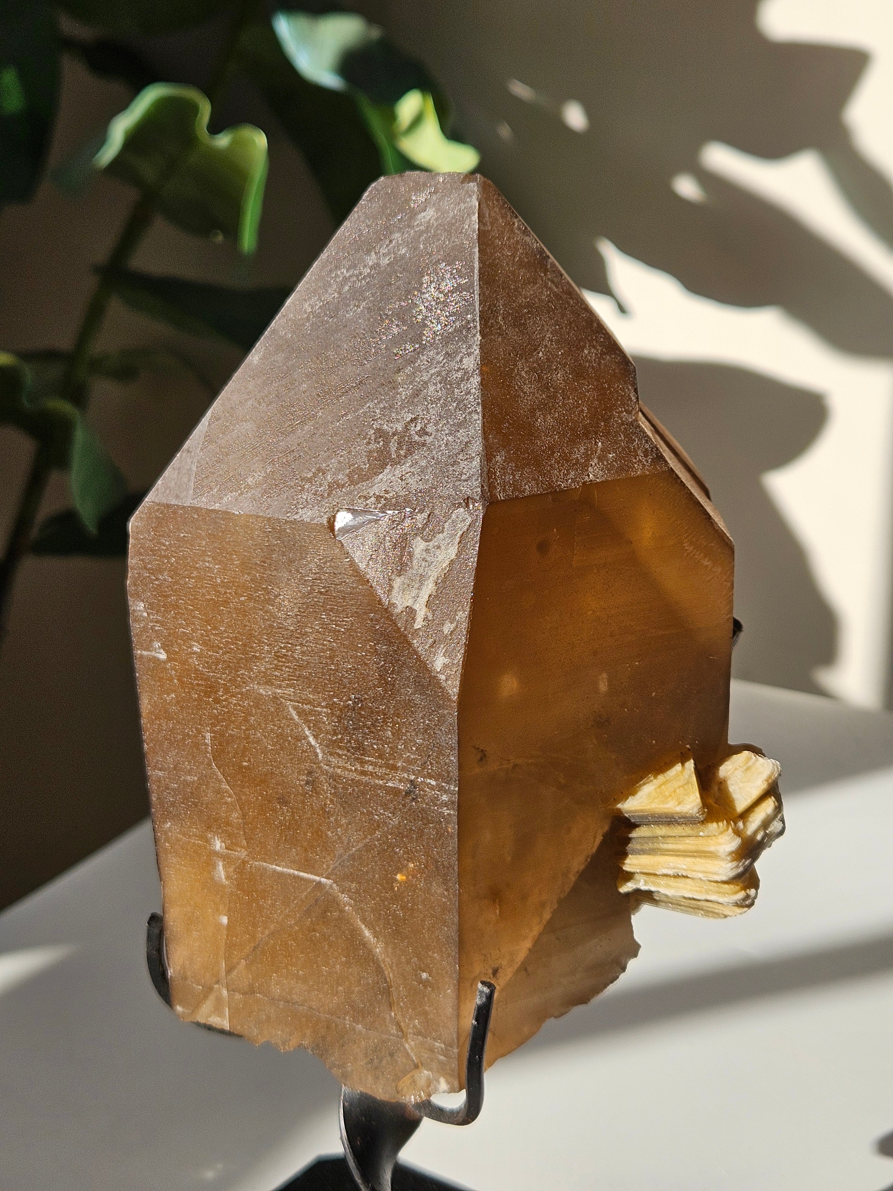 Smoky Quartz x Mica on Stand