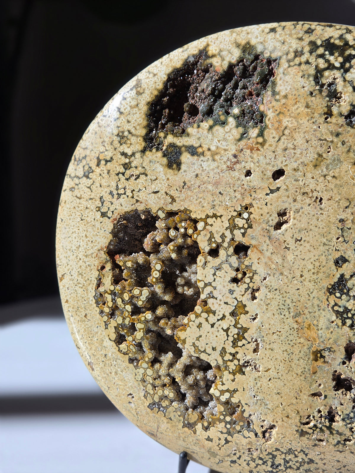 Sea Jasper Slab 013