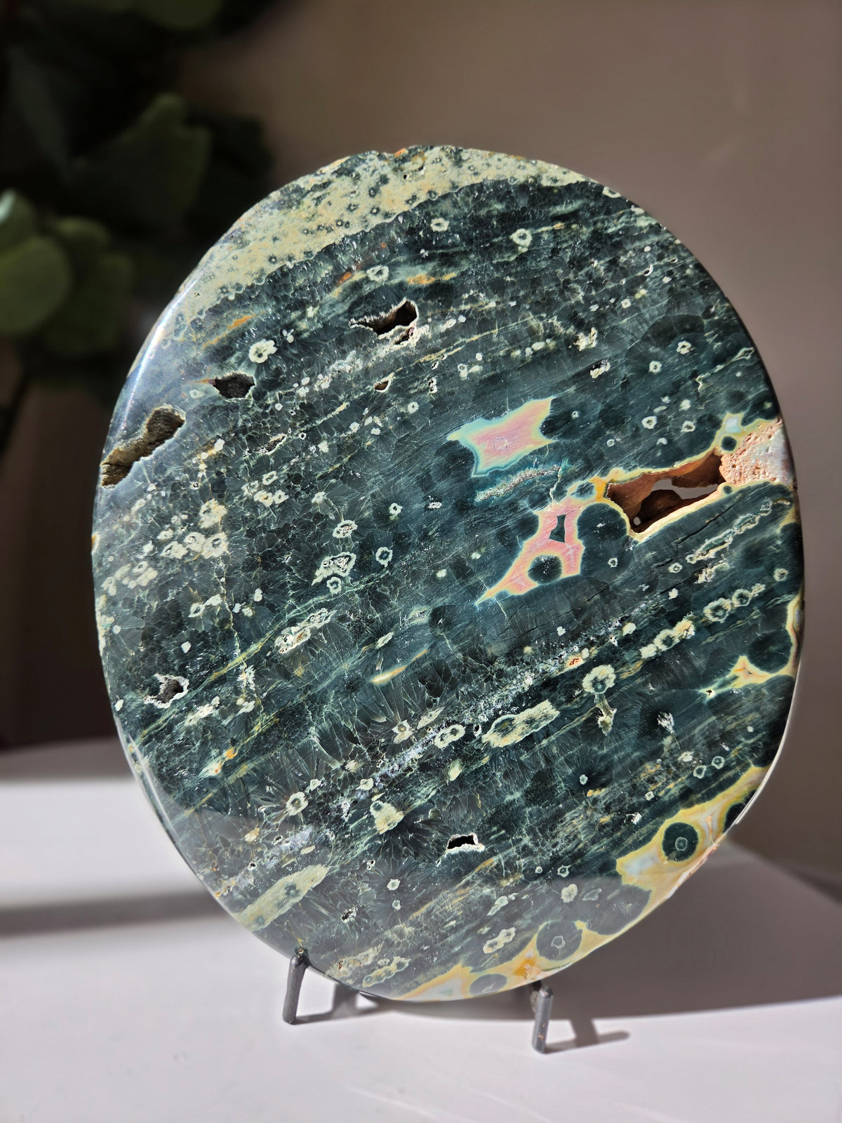 Sea Jasper Slab 014