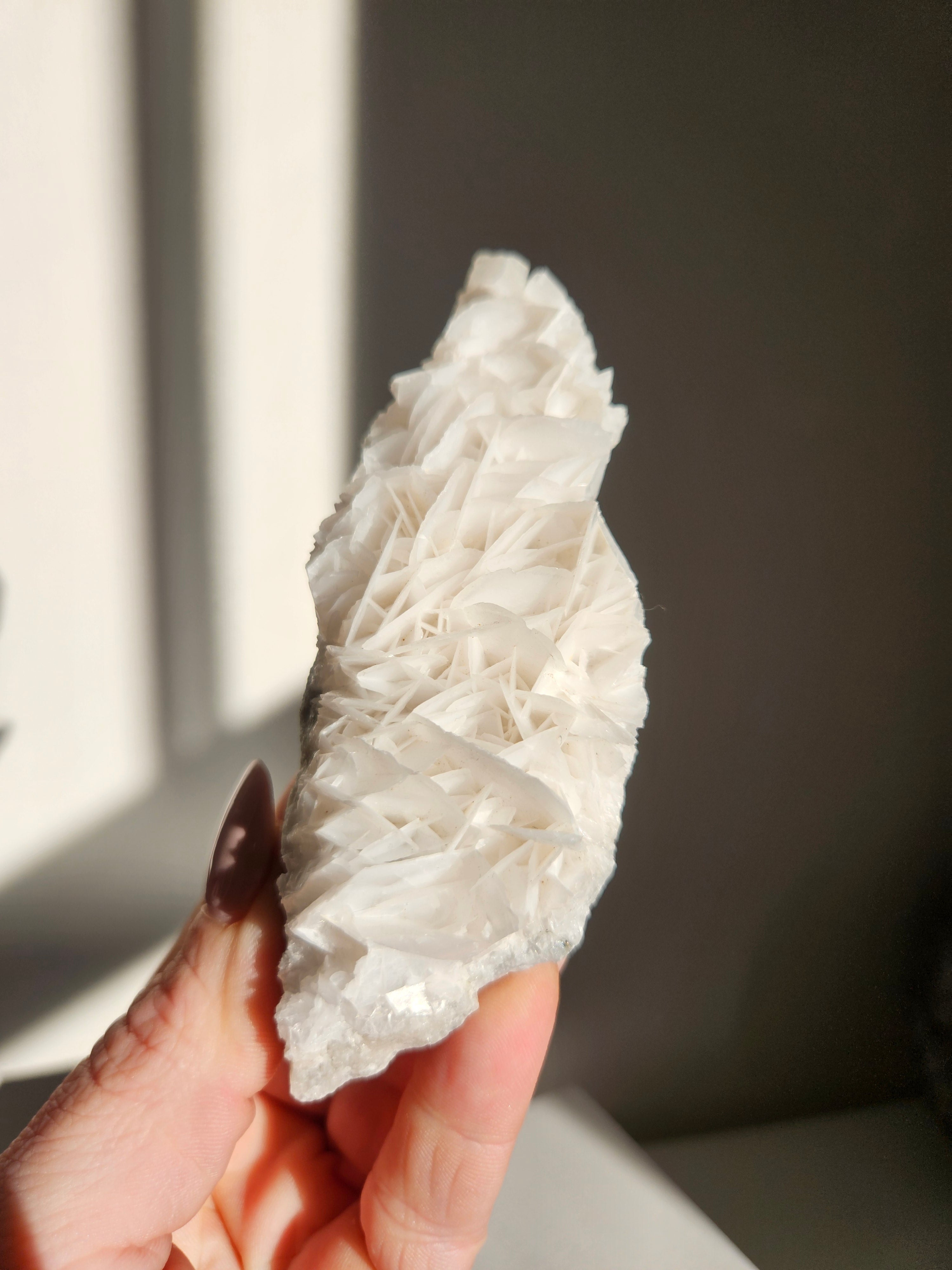 Bladed 'Rose' Calcite 003