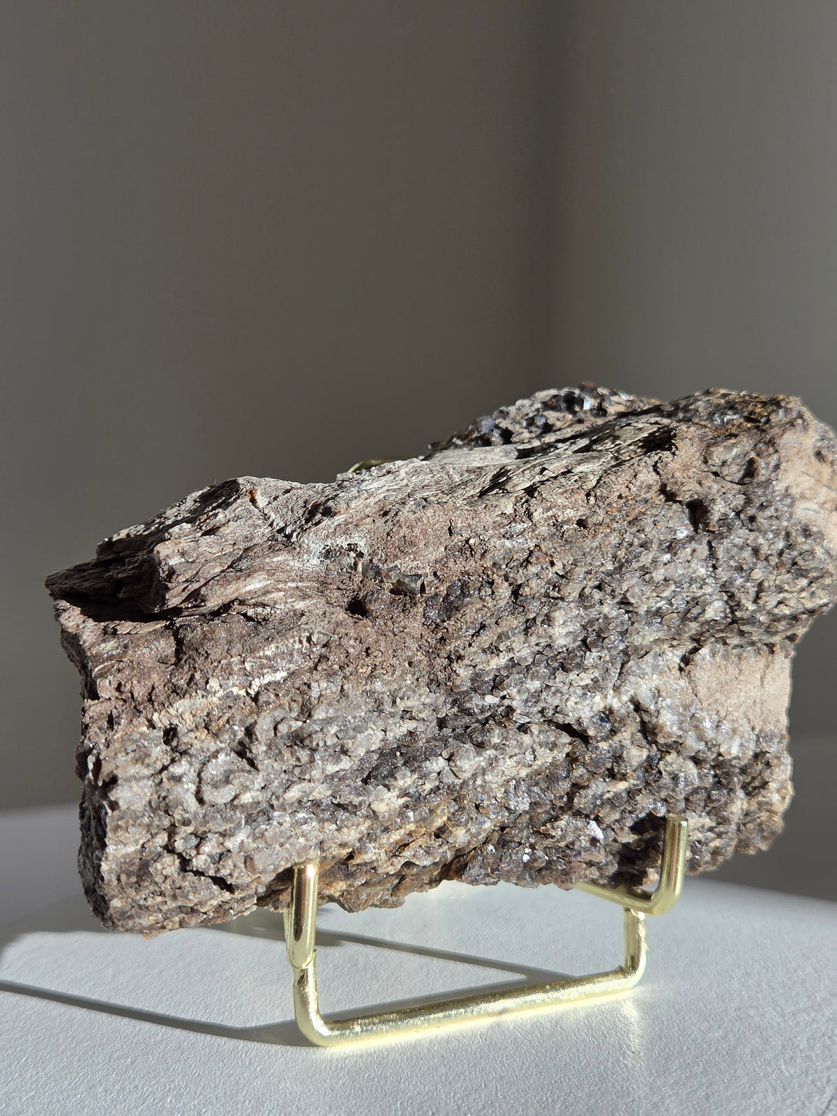 Smoky Quartz on Fossilized Wood 005