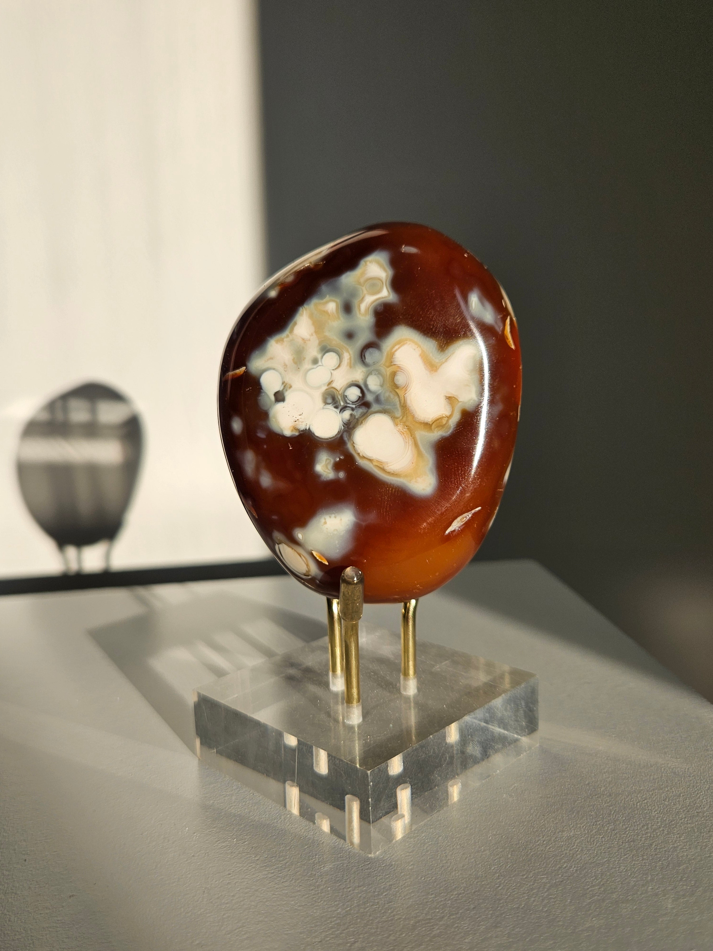 Orca agate x Carnelian Freeform 018