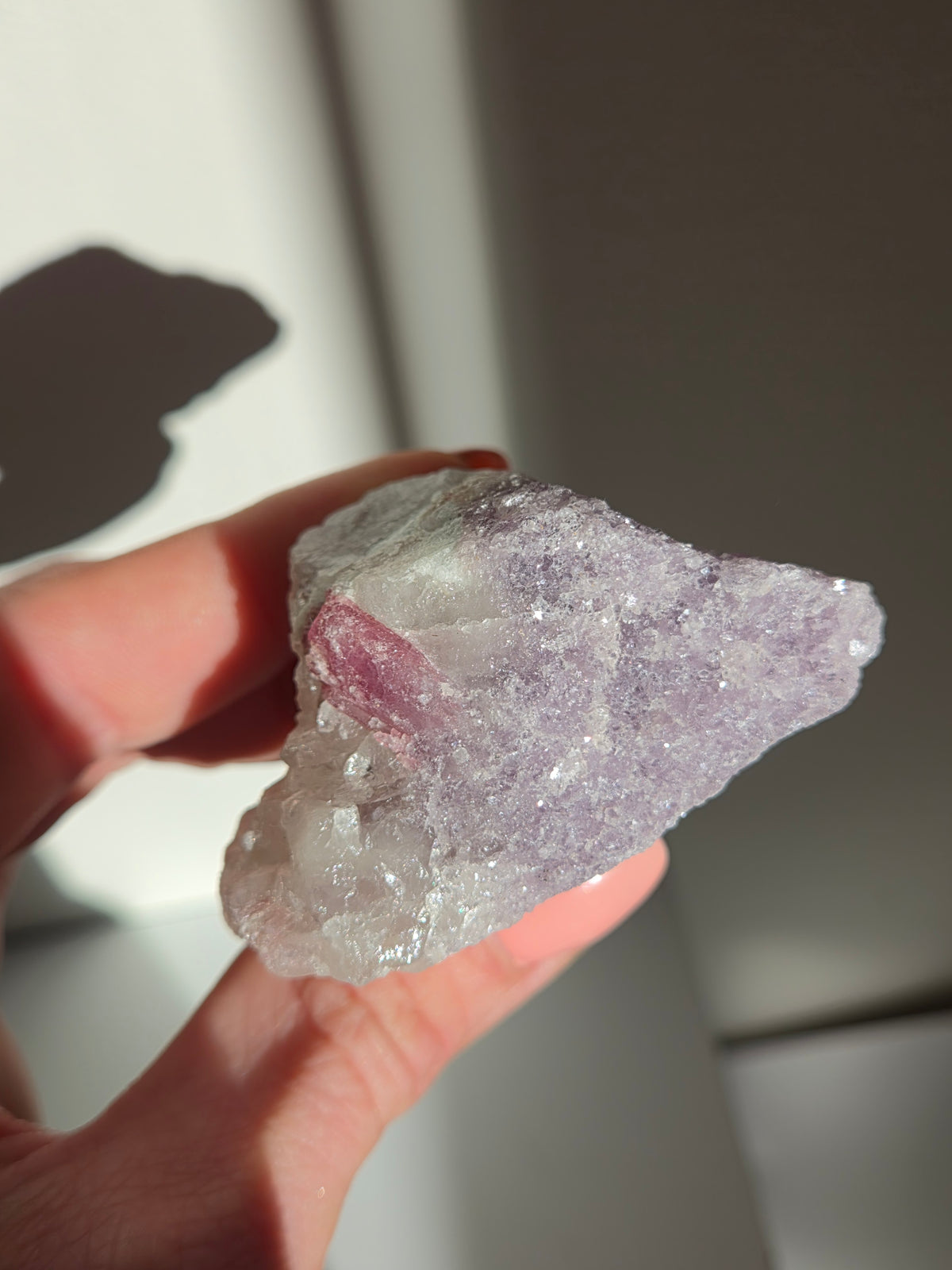 Tourmaline x Quartz Specimen 005