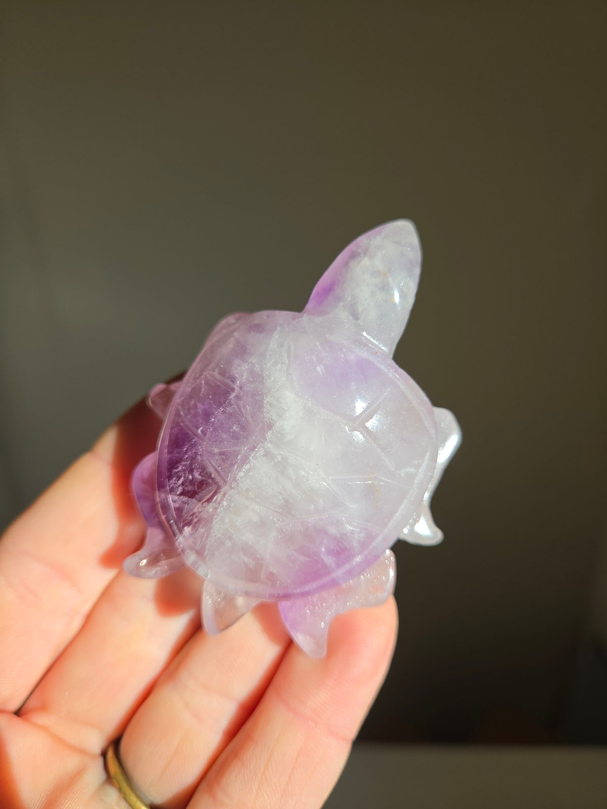Amethyst Turtle 005