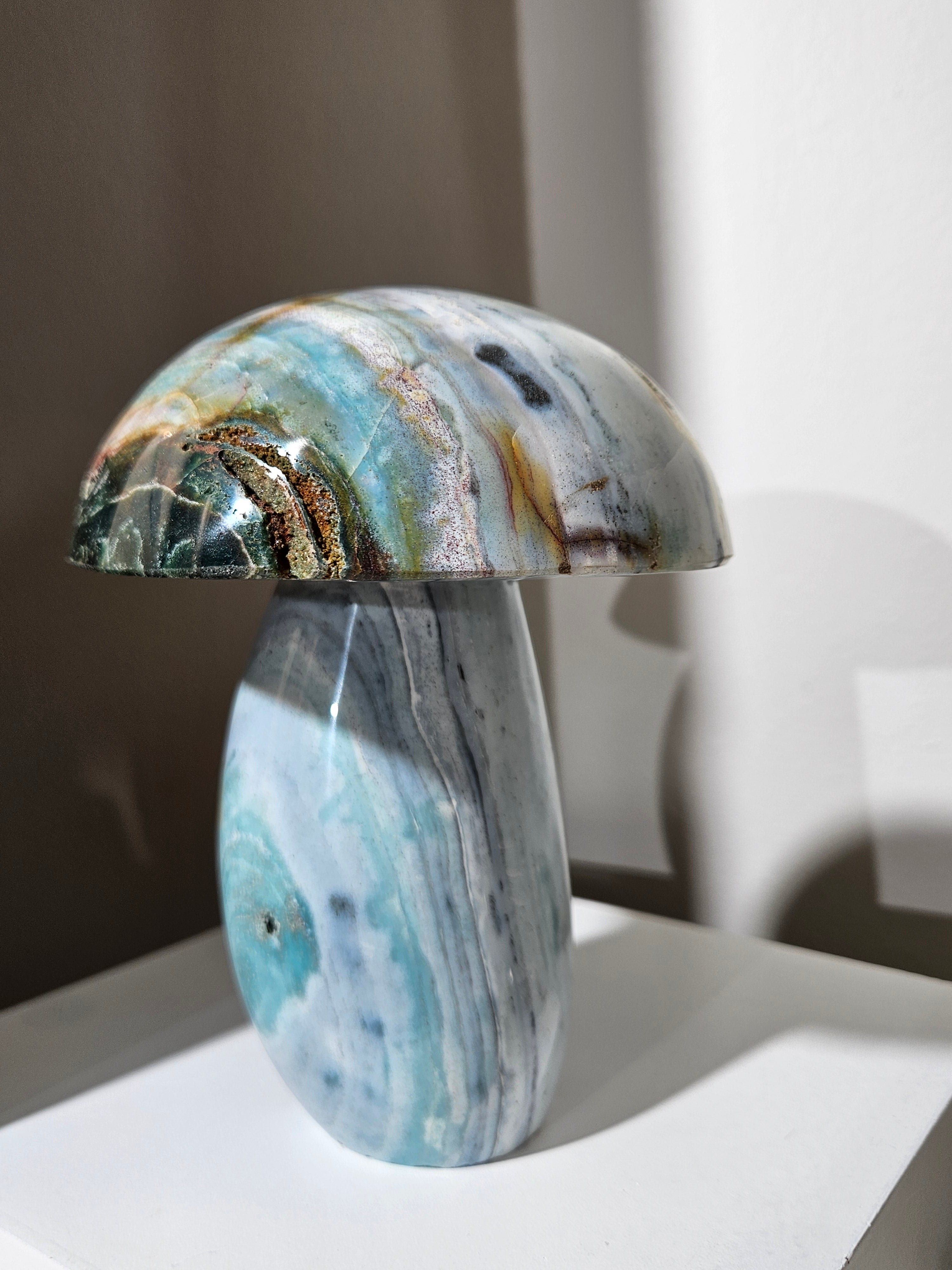 Sea Jasper Mushroom 012