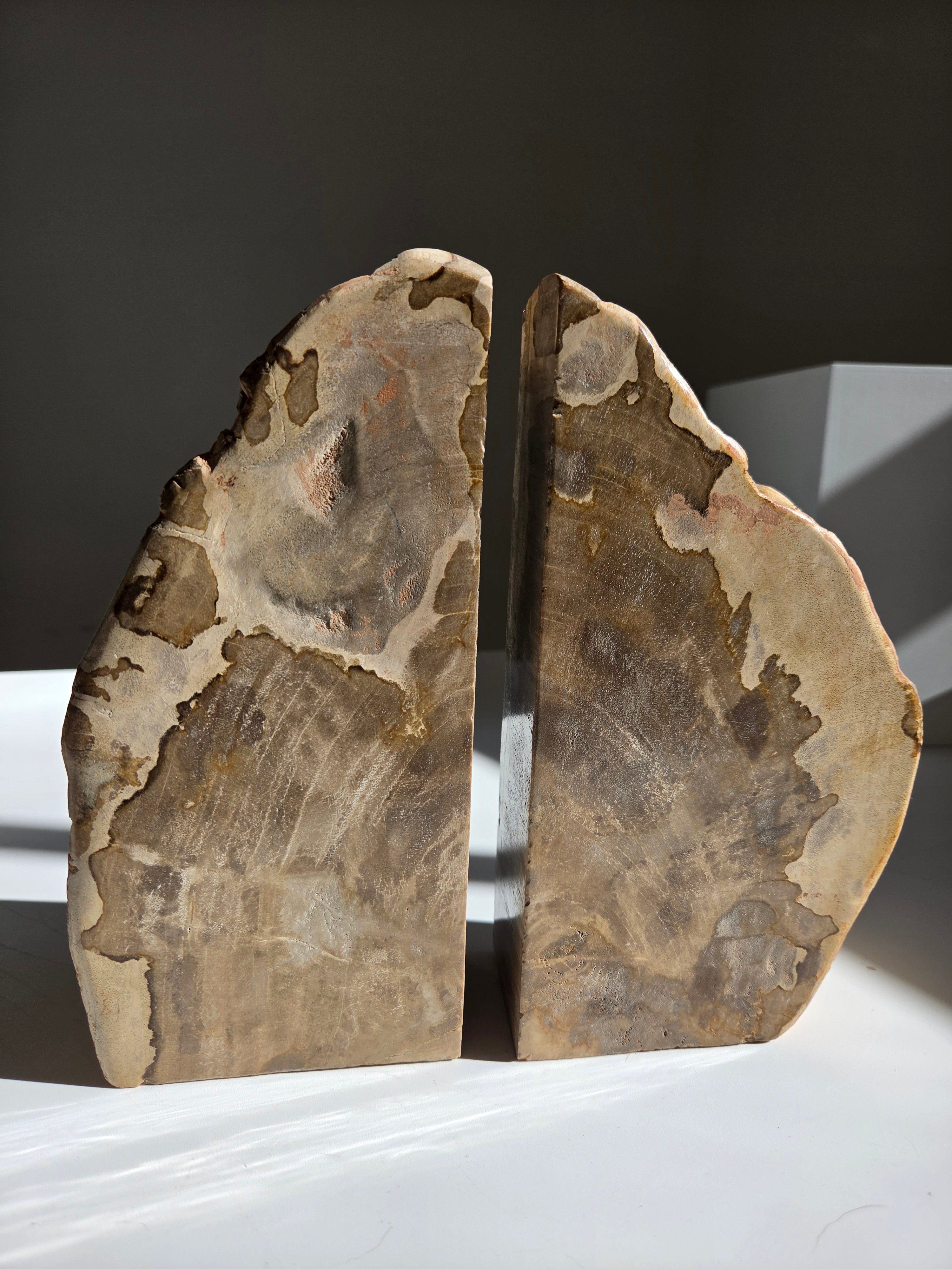 Petrified Wood Bookends 002