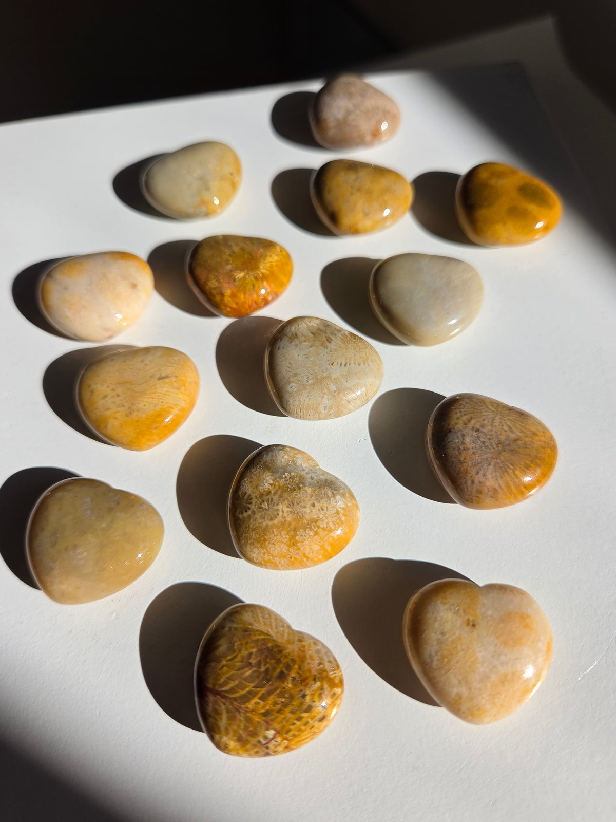 Fossilized Coral Mini Heart