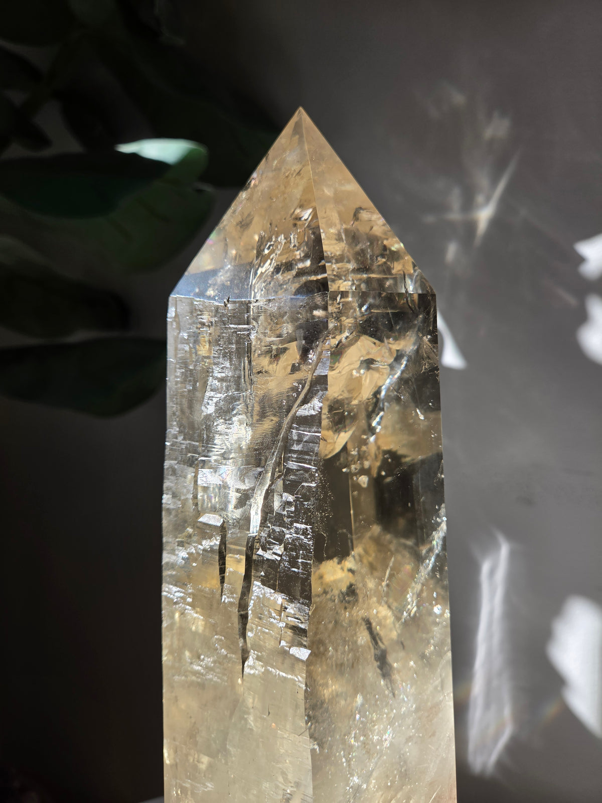 Semipolished Citrine Lemurian Statement