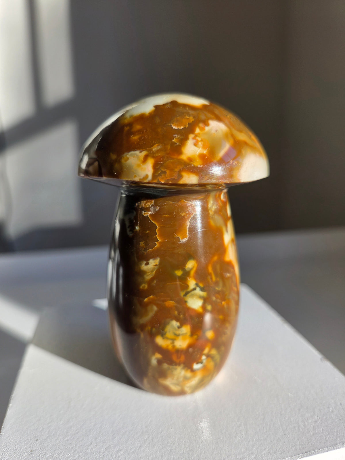 Polychrome Jasper Mushroom 003
