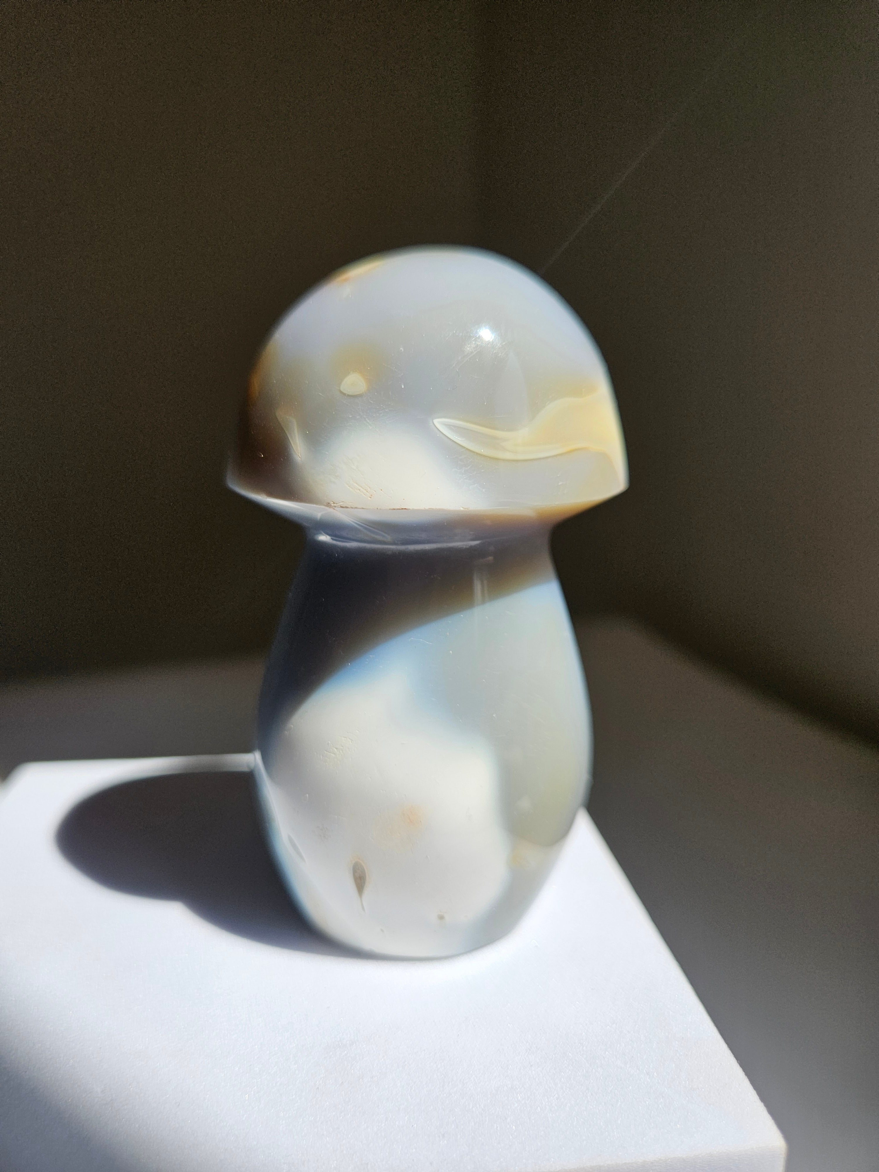 Orca Agate Mushroom 015