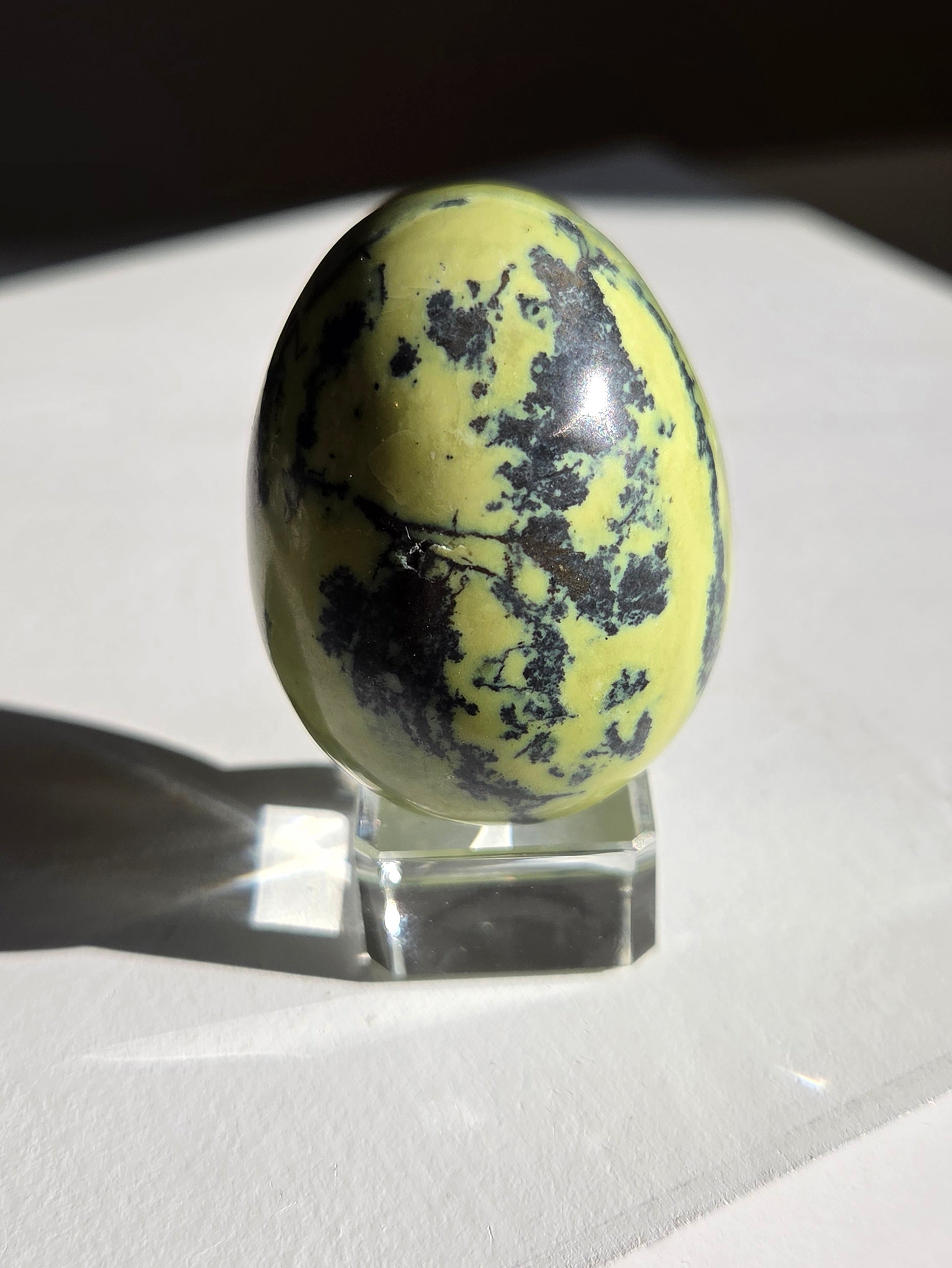 Serpentine Egg 005