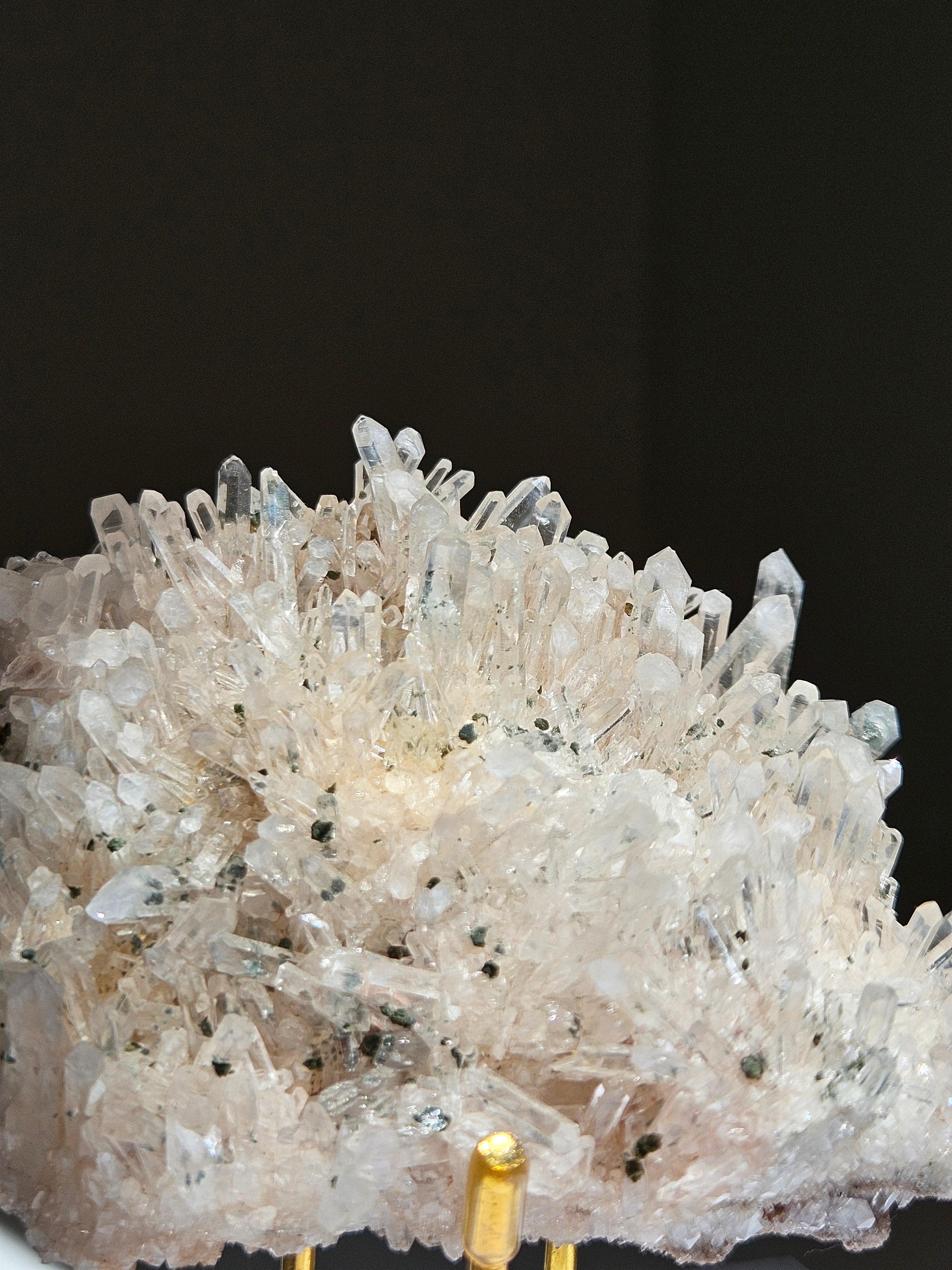 Colombian Lemurian 006