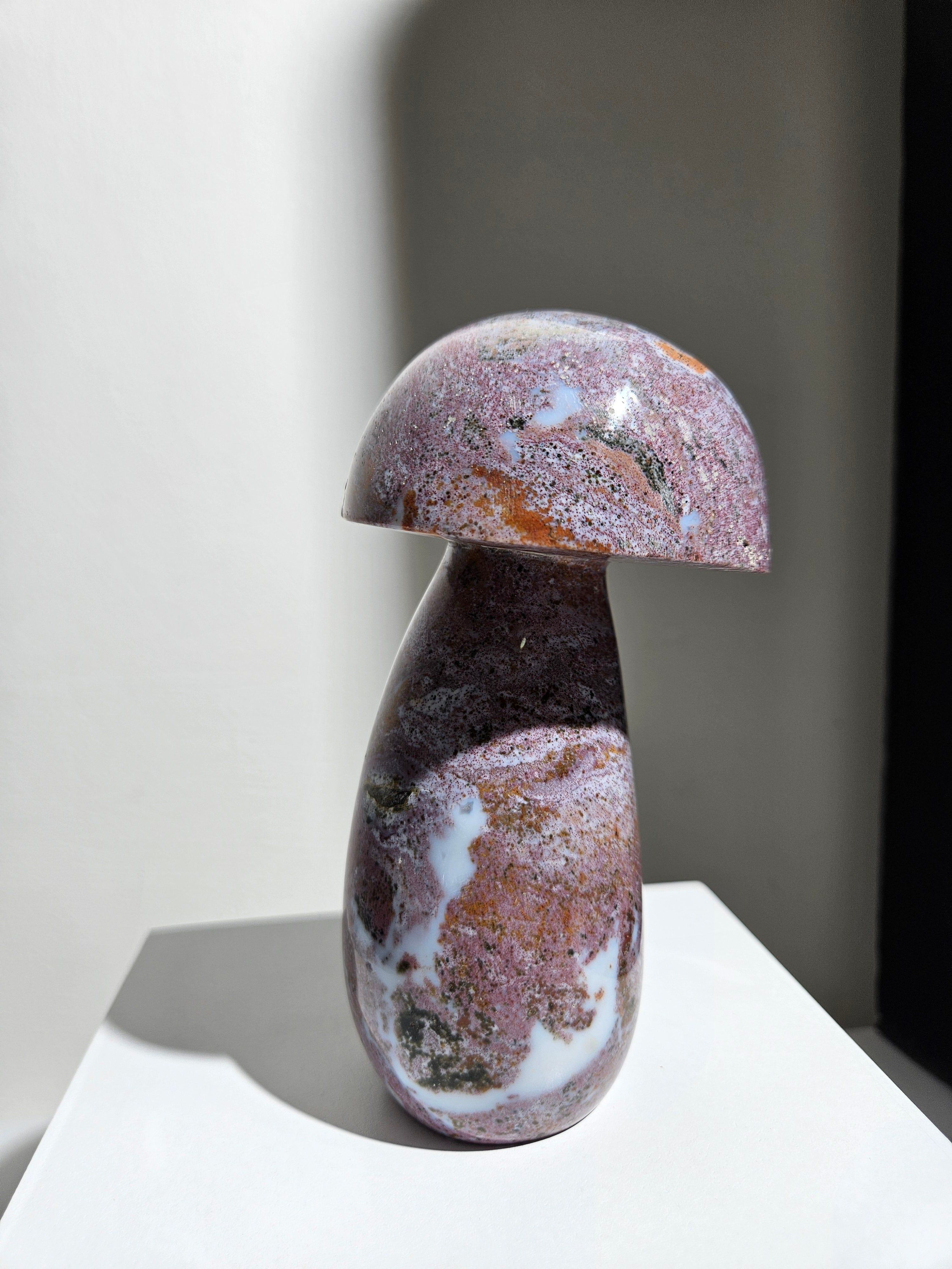 Sea Jasper Mushroom 011