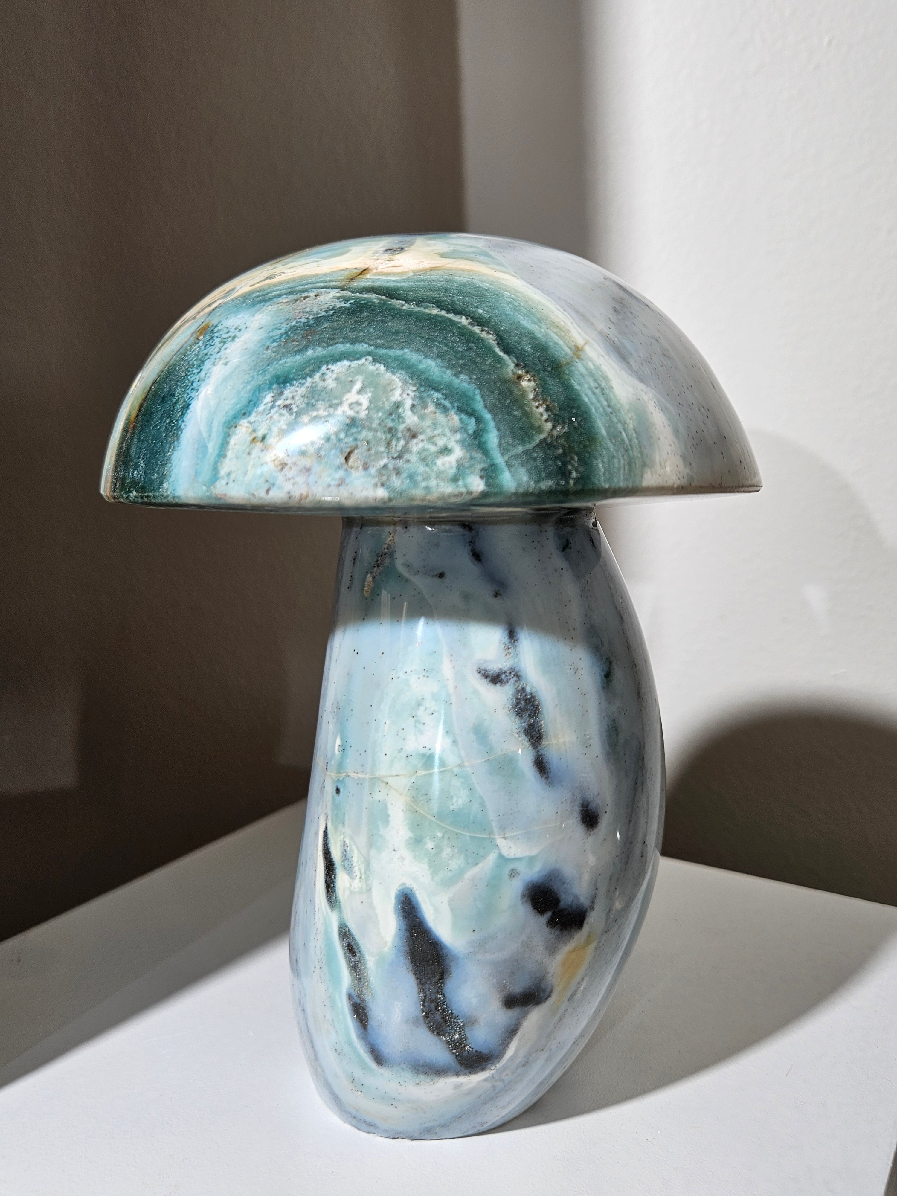 Sea Jasper Mushroom 012