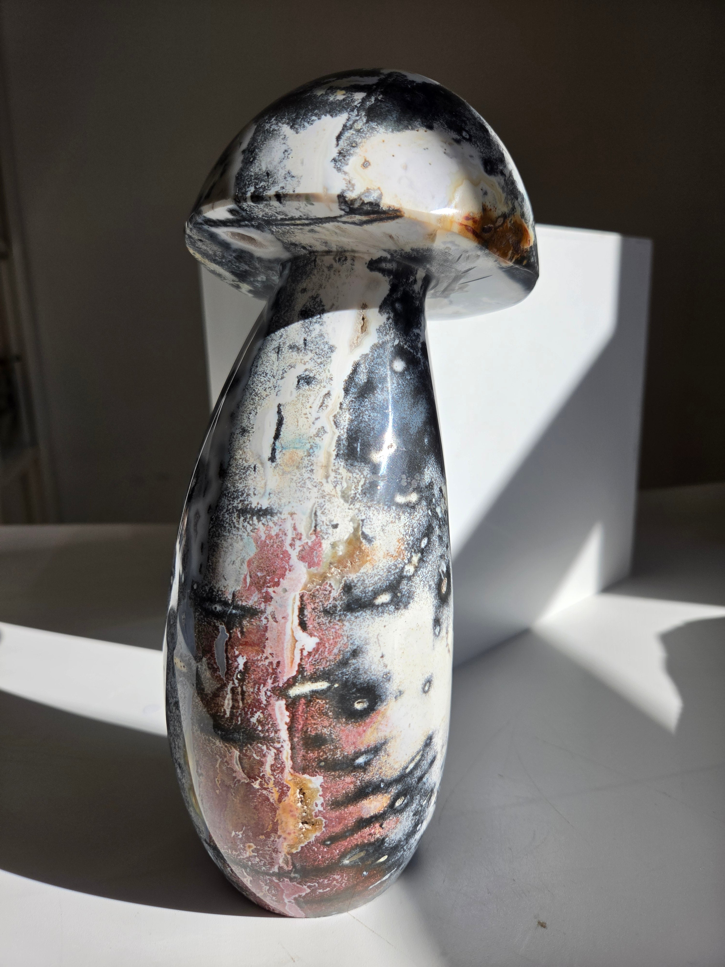 Sea Jasper Mushroom 013