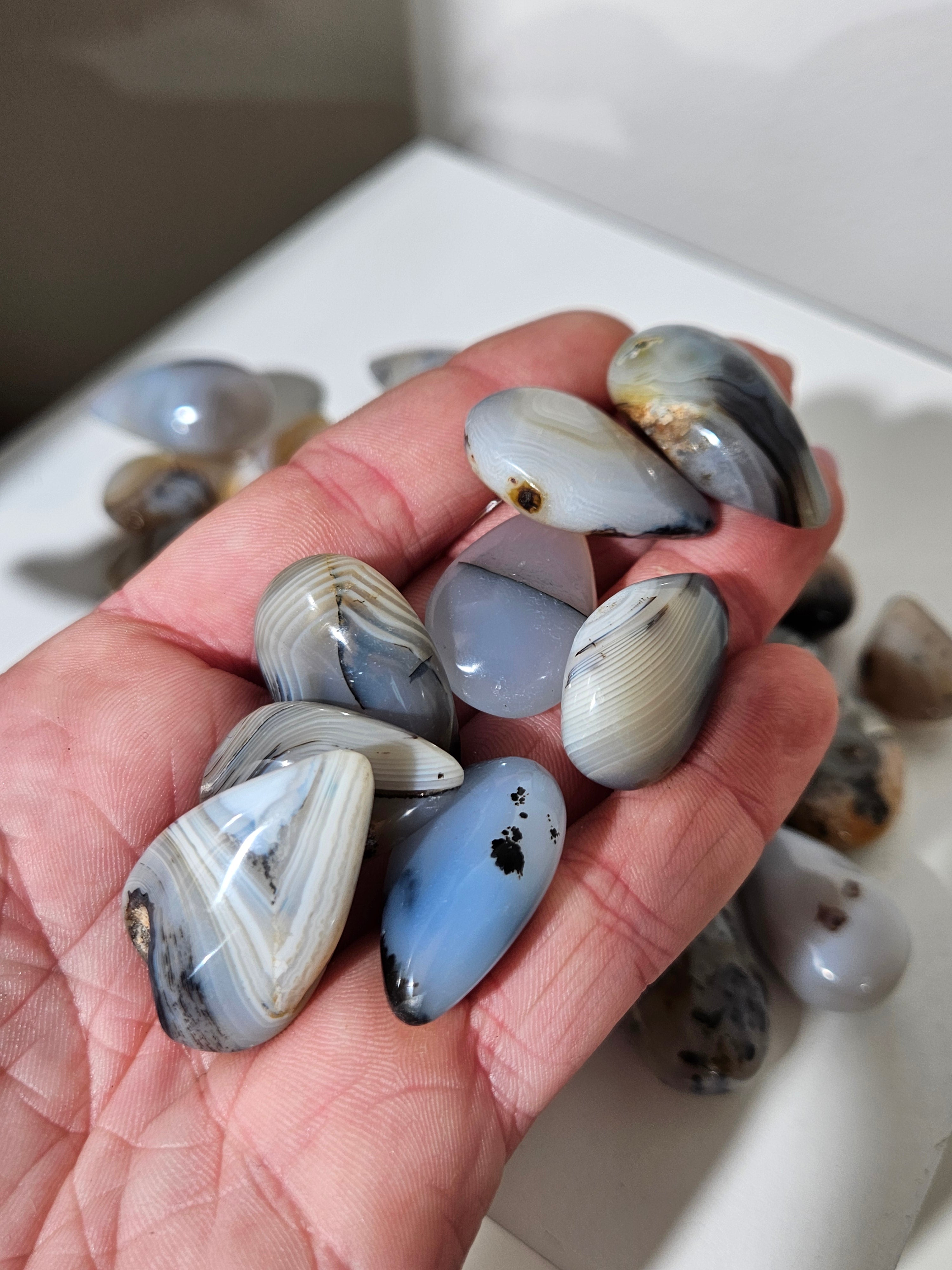 Dendritic Opal Teardrop Set