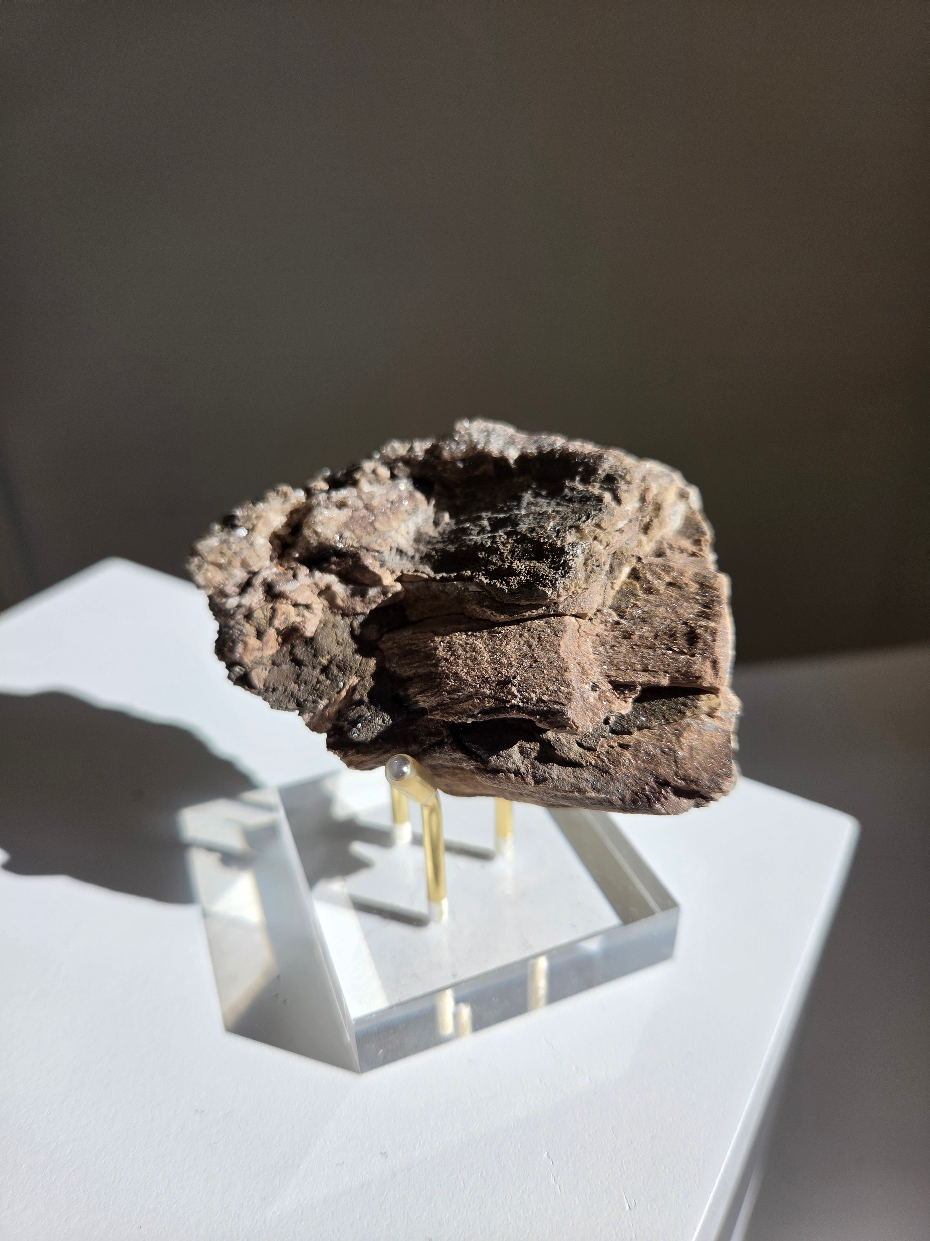 Permineralized Wood x Smoky Quartz 001