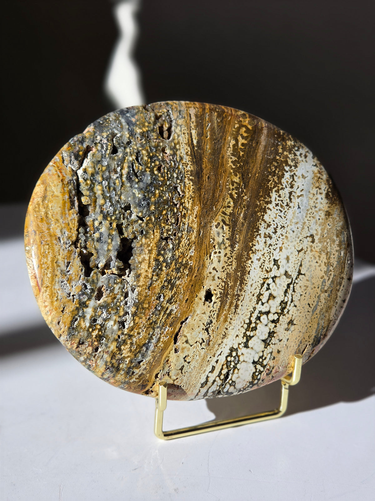 Sea Jasper Slab 009