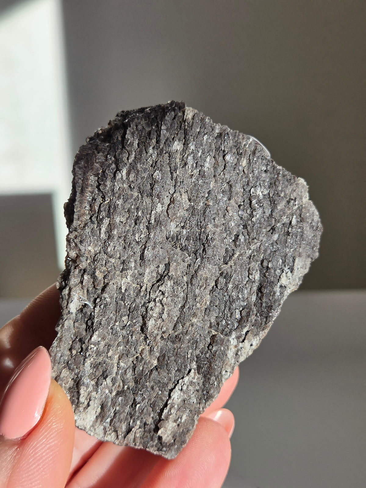 Smoky Quartz on Fossilized Wood 003
