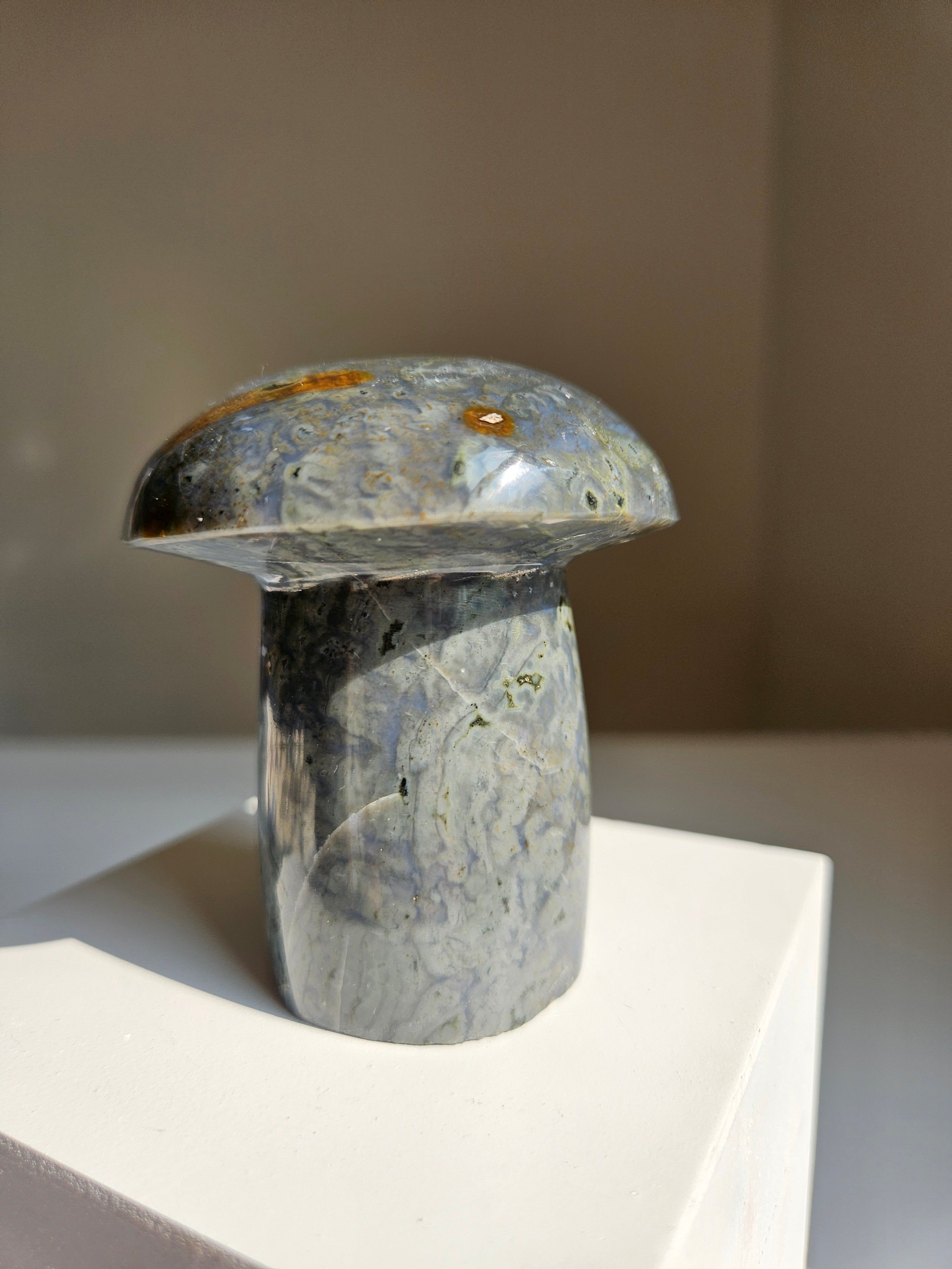 Sea jasper mushroom 003