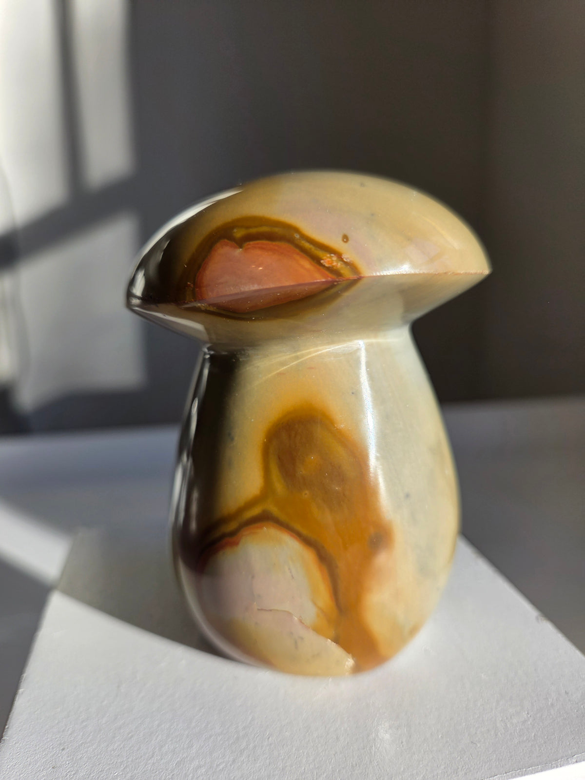 Polychrome Jasper Mushroom 004