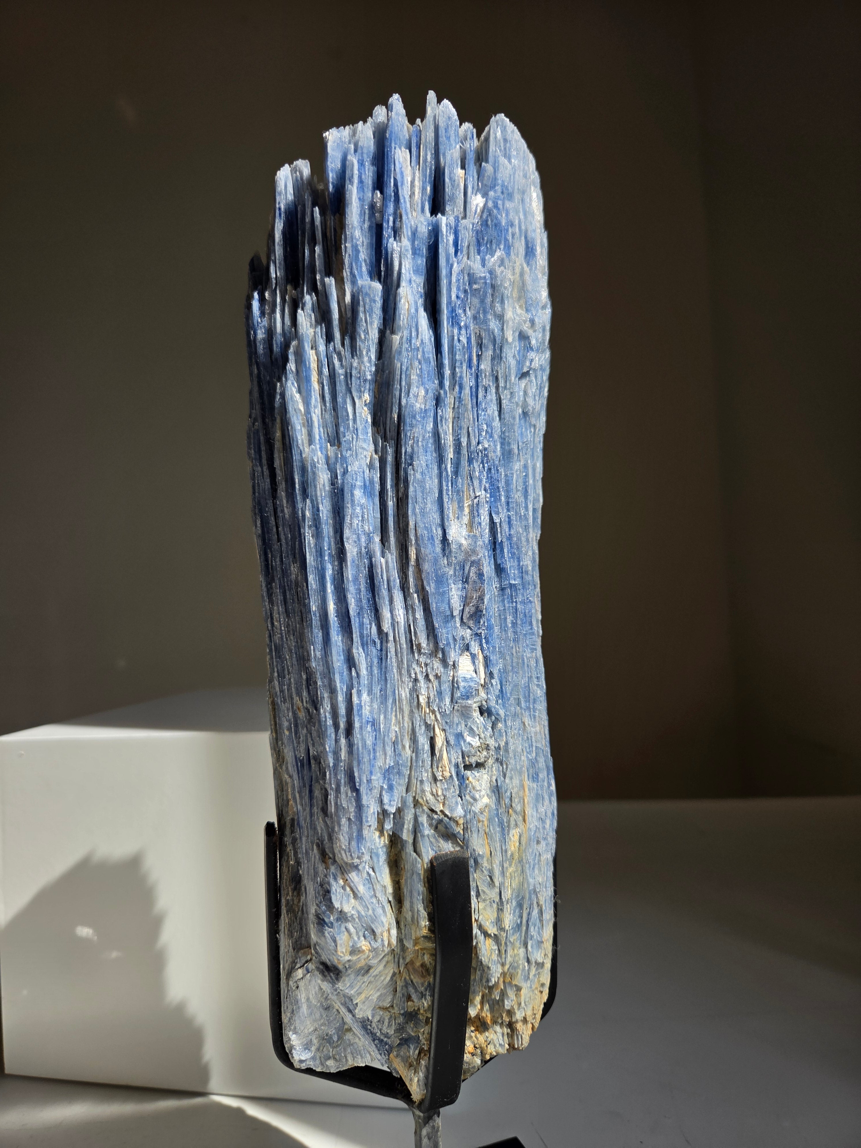 Blue Kyanite Statement 002