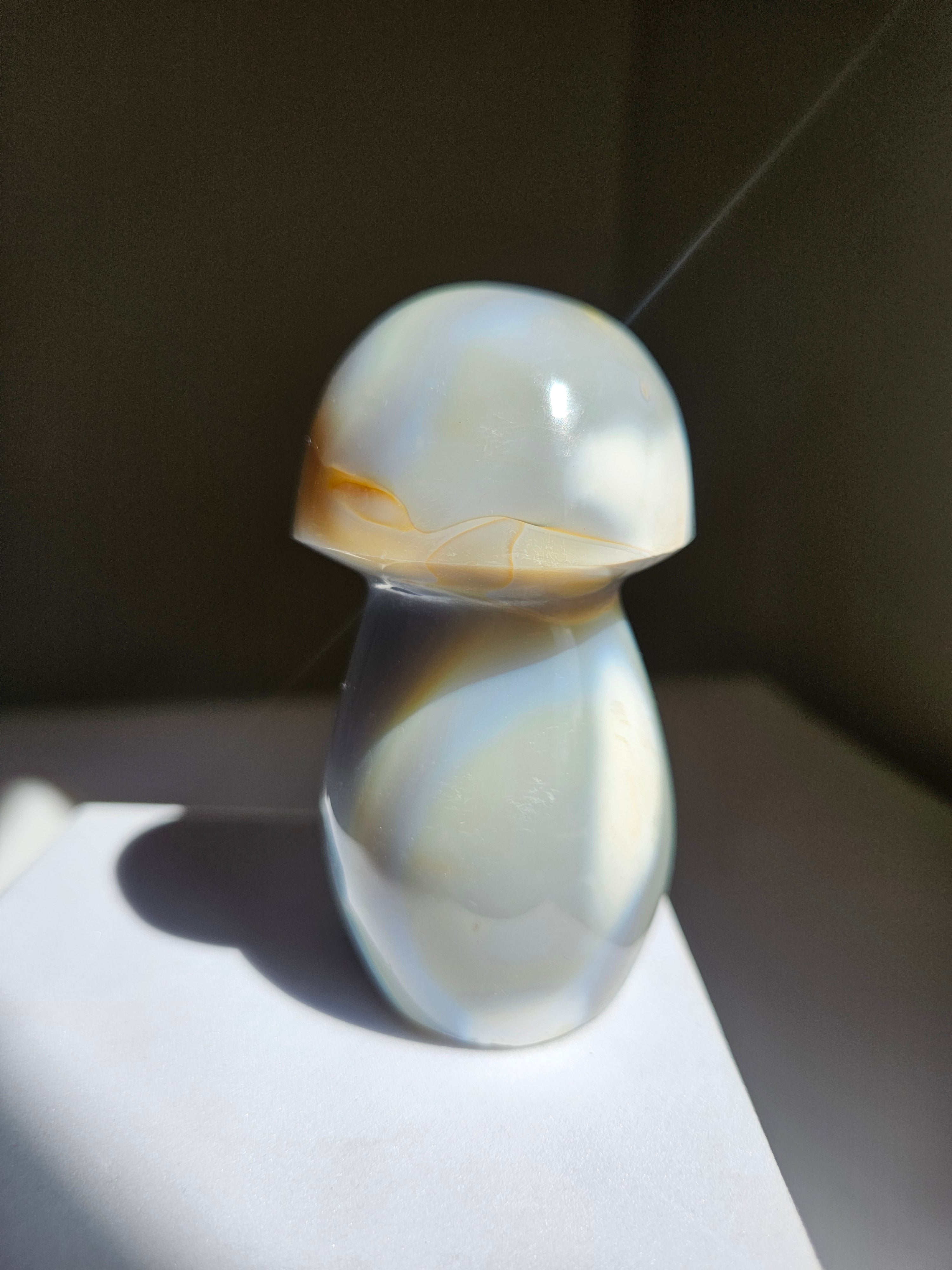 Orca Agate Mushroom 015