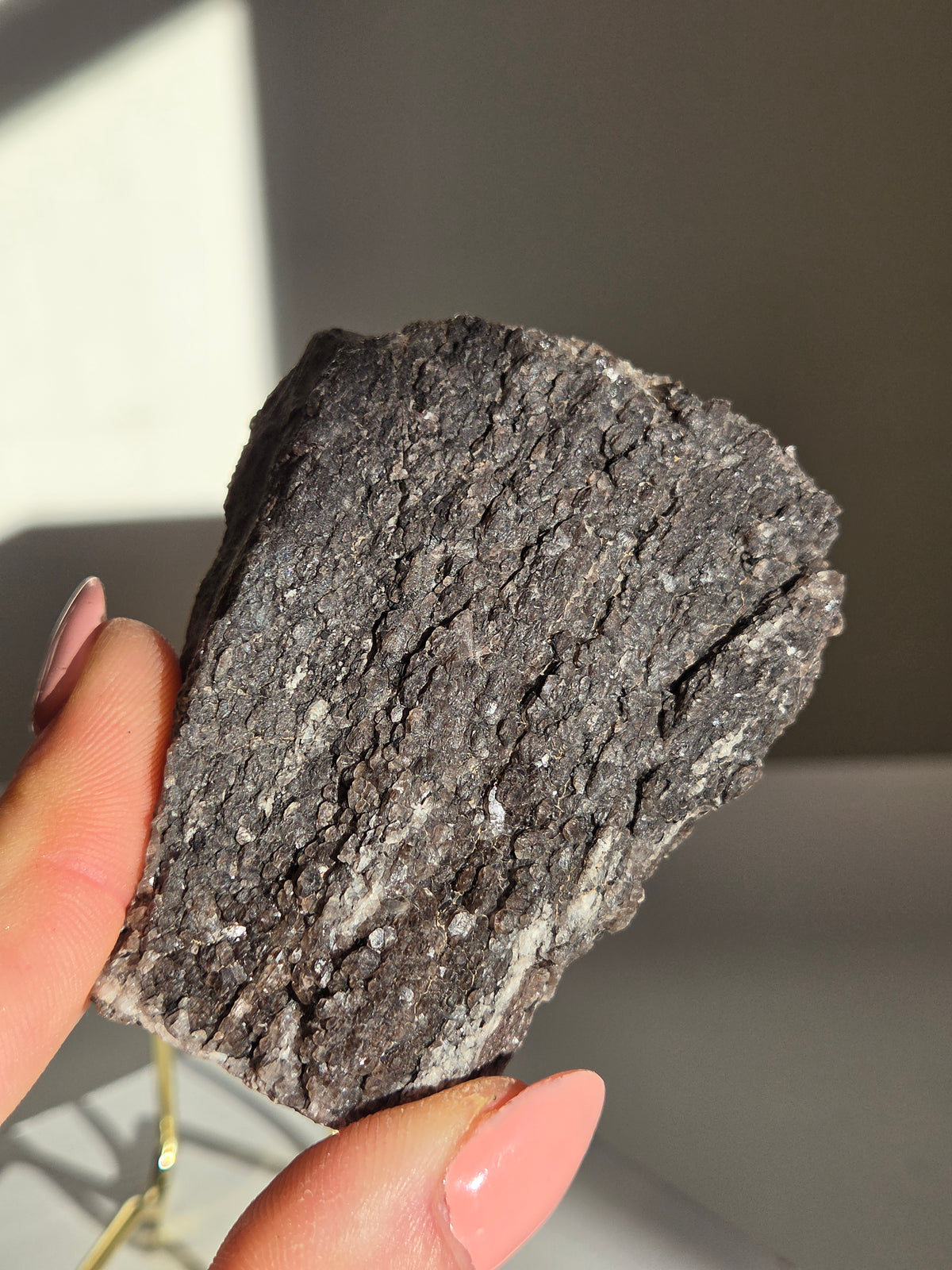 Smoky Quartz on Fossilized Wood 003