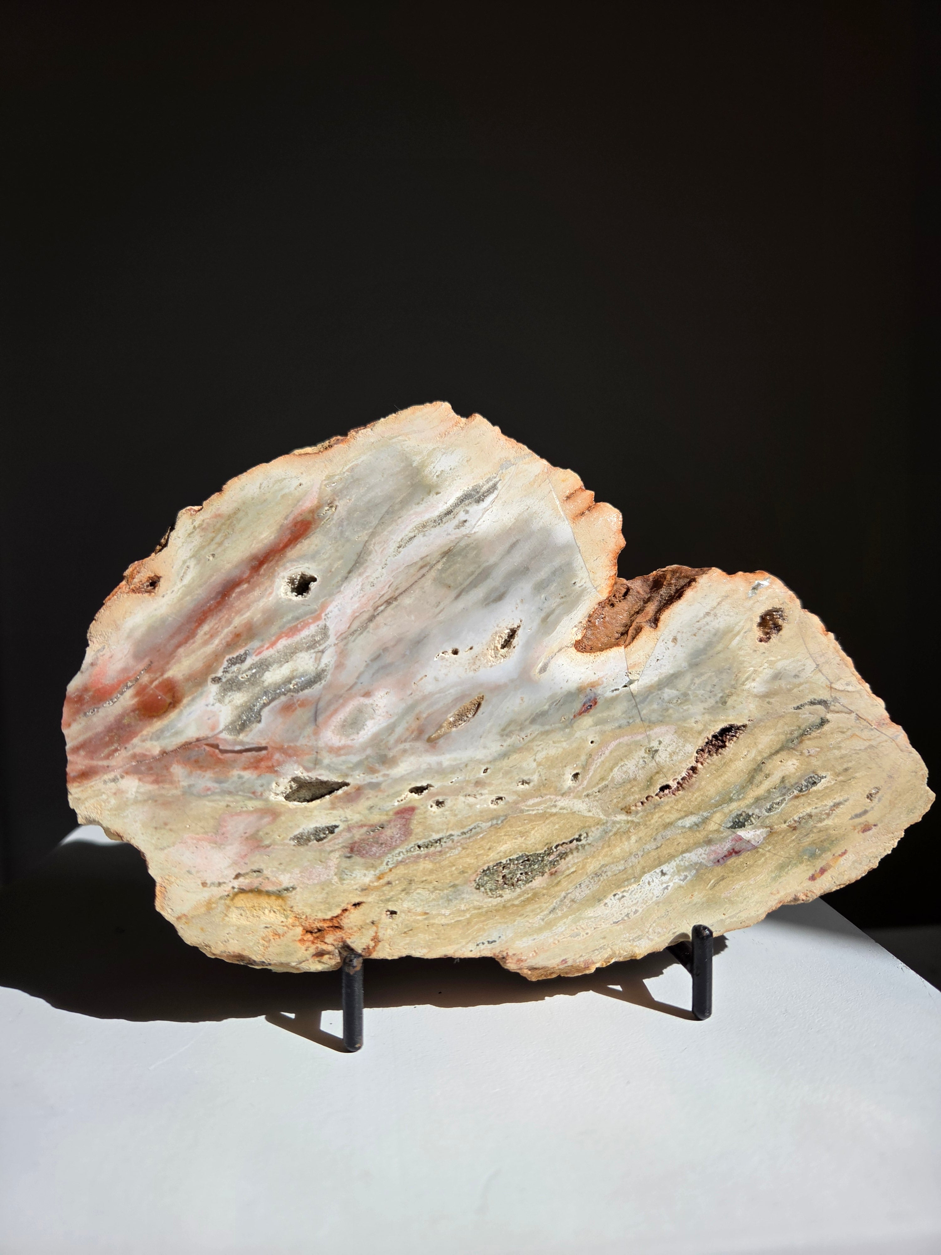 Sea Jasper Slab 005