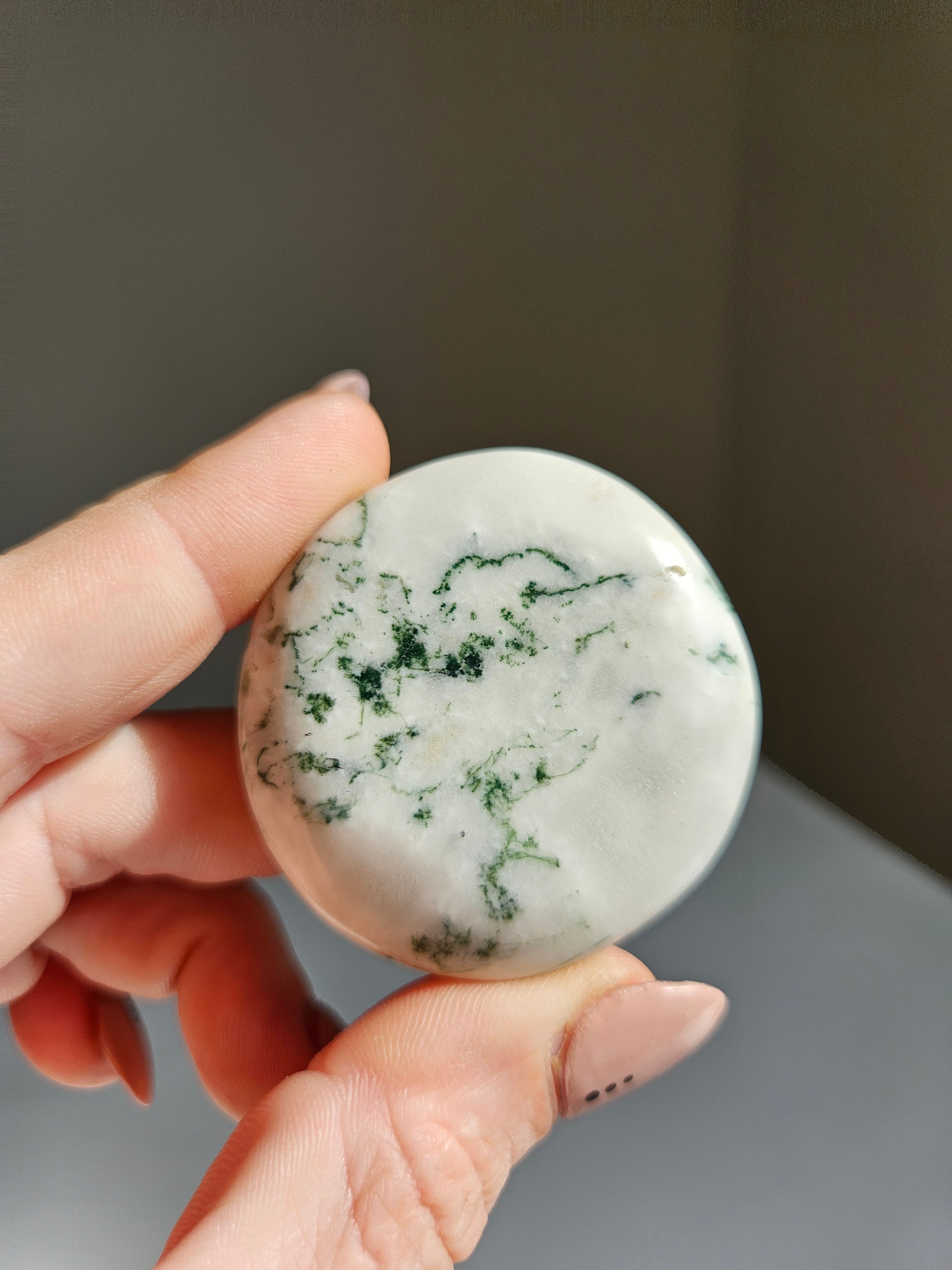 Tree Agate Flat 001