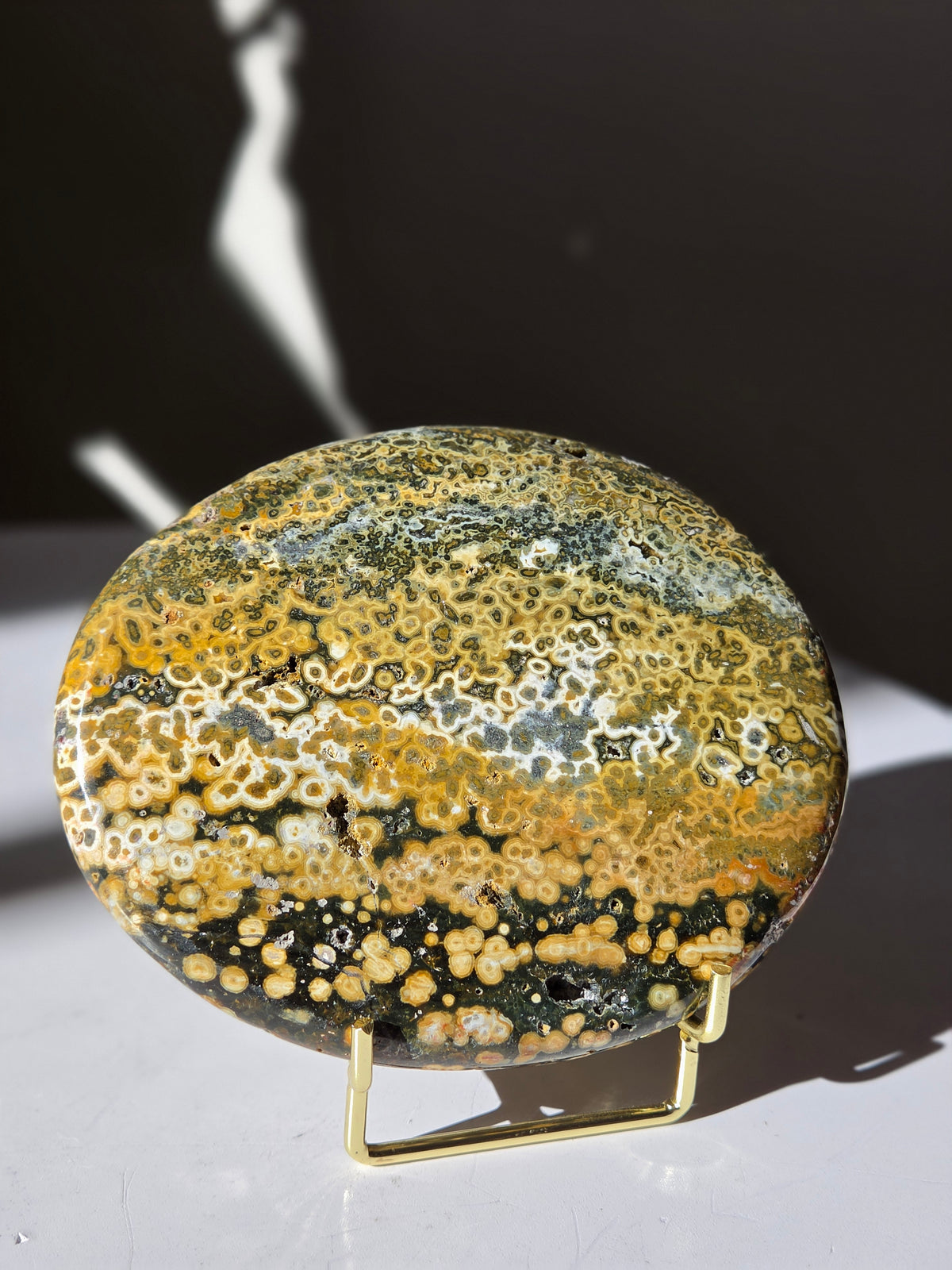 Sea Jasper Slab 010